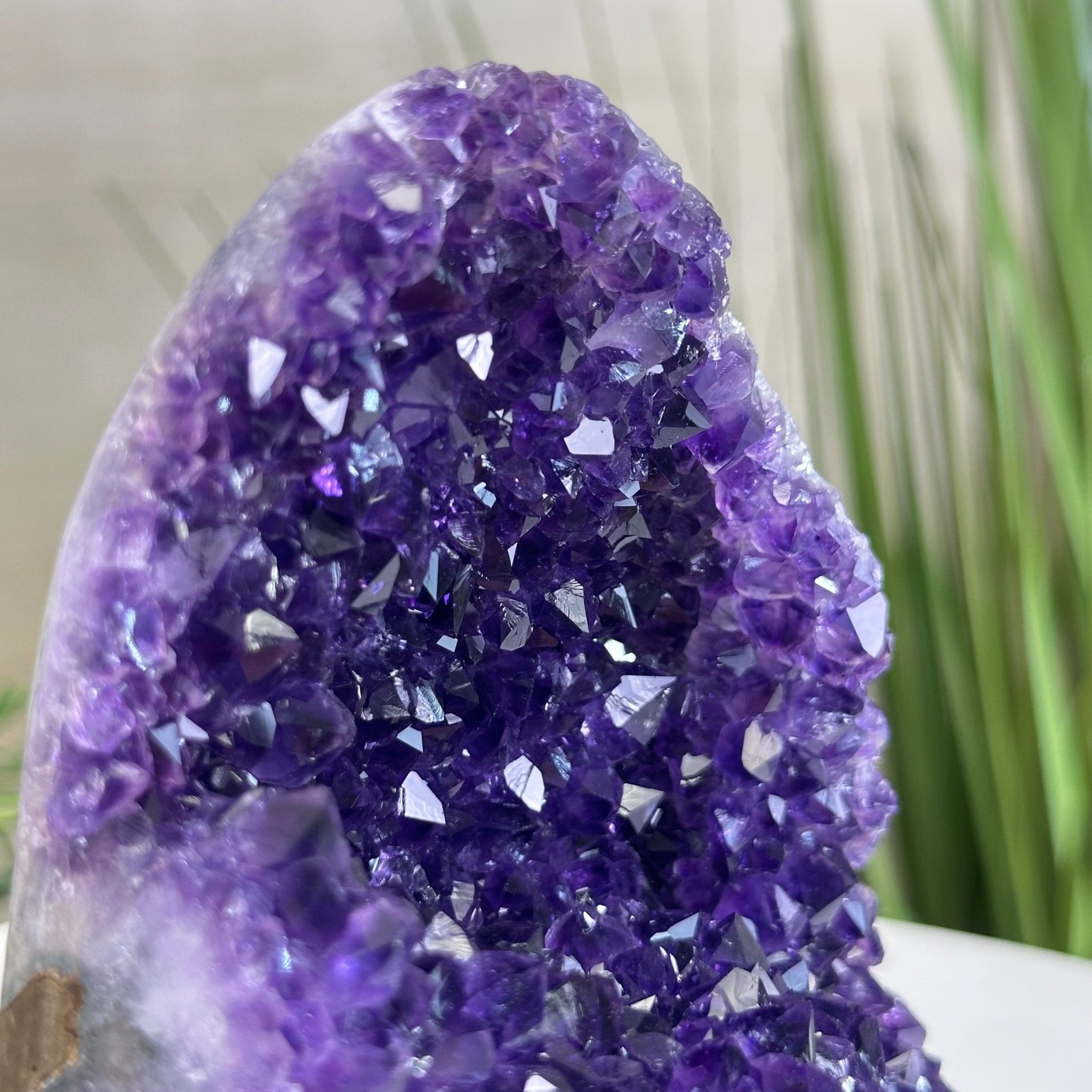 Small Extra Plus Quality Amethyst Cluster Flat Base, 5.9" Tall 5611 - 0926 - Brazil GemsBrazil GemsSmall Extra Plus Quality Amethyst Cluster Flat Base, 5.9" Tall 5611 - 0926Small Clusters with Flat Bases5611 - 0926