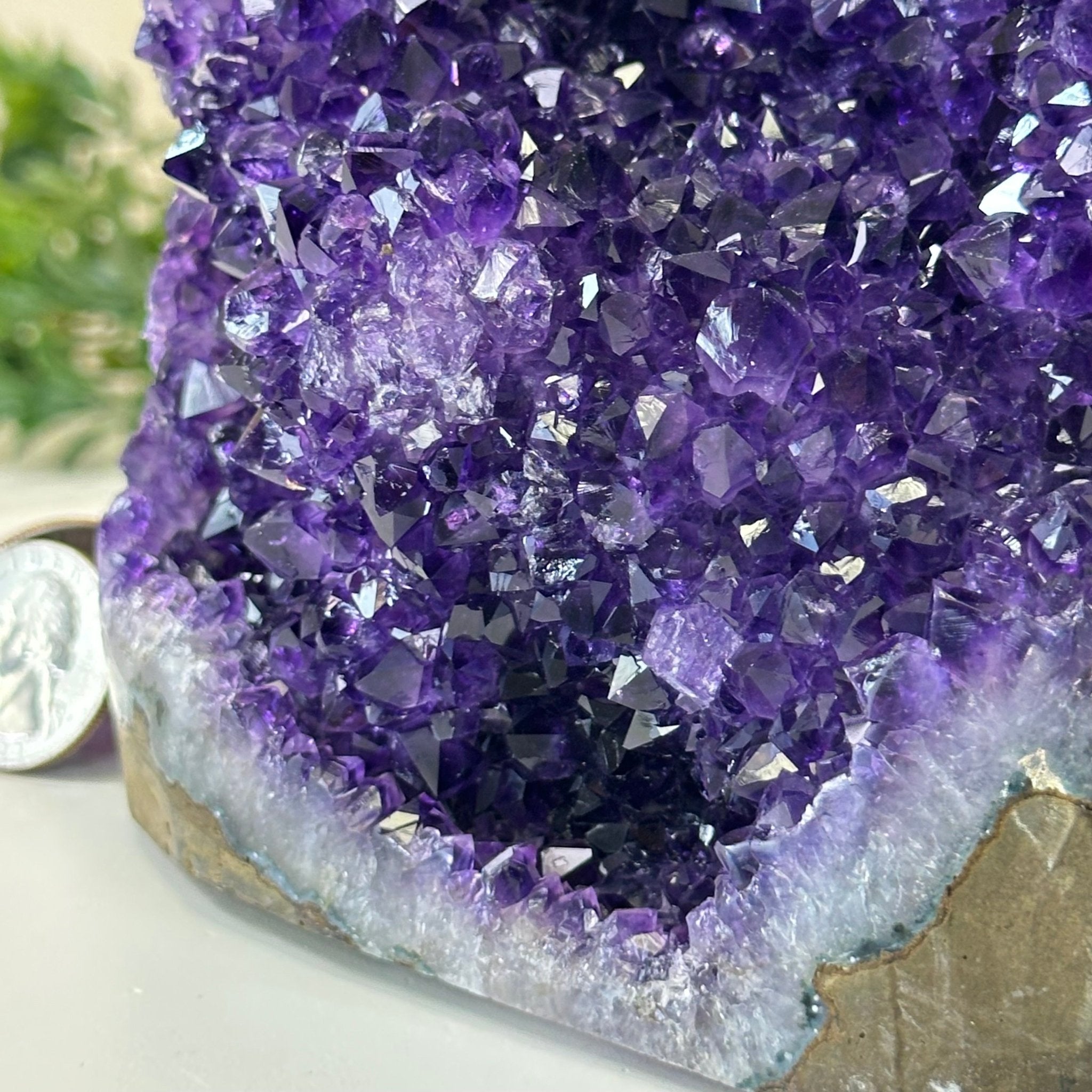 Small Extra Plus Quality Amethyst Cluster Flat Base, 5.9" Tall 5611 - 0926 - Brazil GemsBrazil GemsSmall Extra Plus Quality Amethyst Cluster Flat Base, 5.9" Tall 5611 - 0926Small Clusters with Flat Bases5611 - 0926