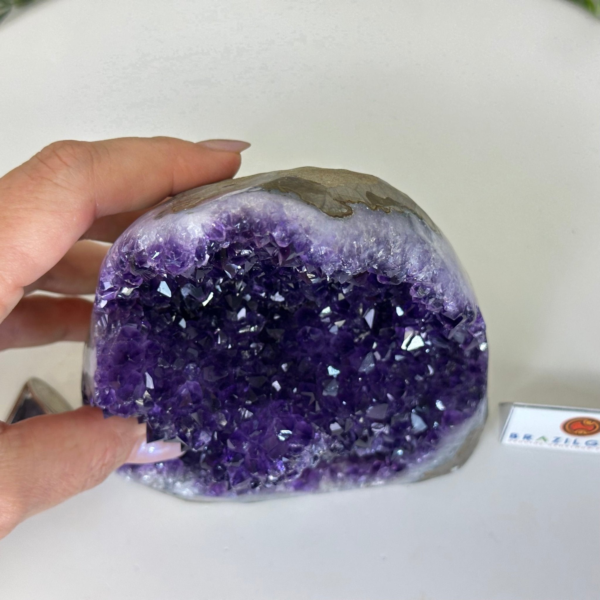 Small Extra Plus Quality Amethyst Cluster Flat Base, 5.9" Tall 5611 - 0926 - Brazil GemsBrazil GemsSmall Extra Plus Quality Amethyst Cluster Flat Base, 5.9" Tall 5611 - 0926Small Clusters with Flat Bases5611 - 0926