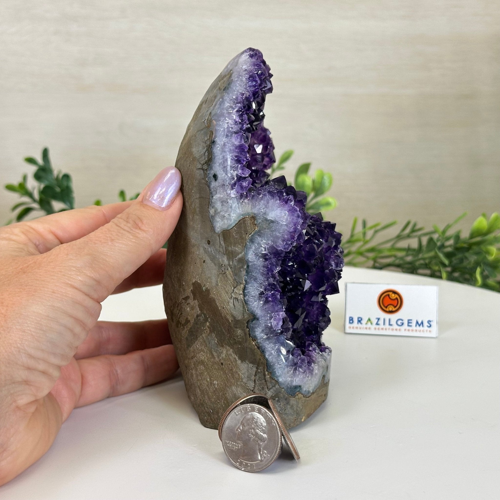 Small Extra Plus Quality Amethyst Cluster Flat Base, 5.9" Tall 5611 - 0926 - Brazil GemsBrazil GemsSmall Extra Plus Quality Amethyst Cluster Flat Base, 5.9" Tall 5611 - 0926Small Clusters with Flat Bases5611 - 0926