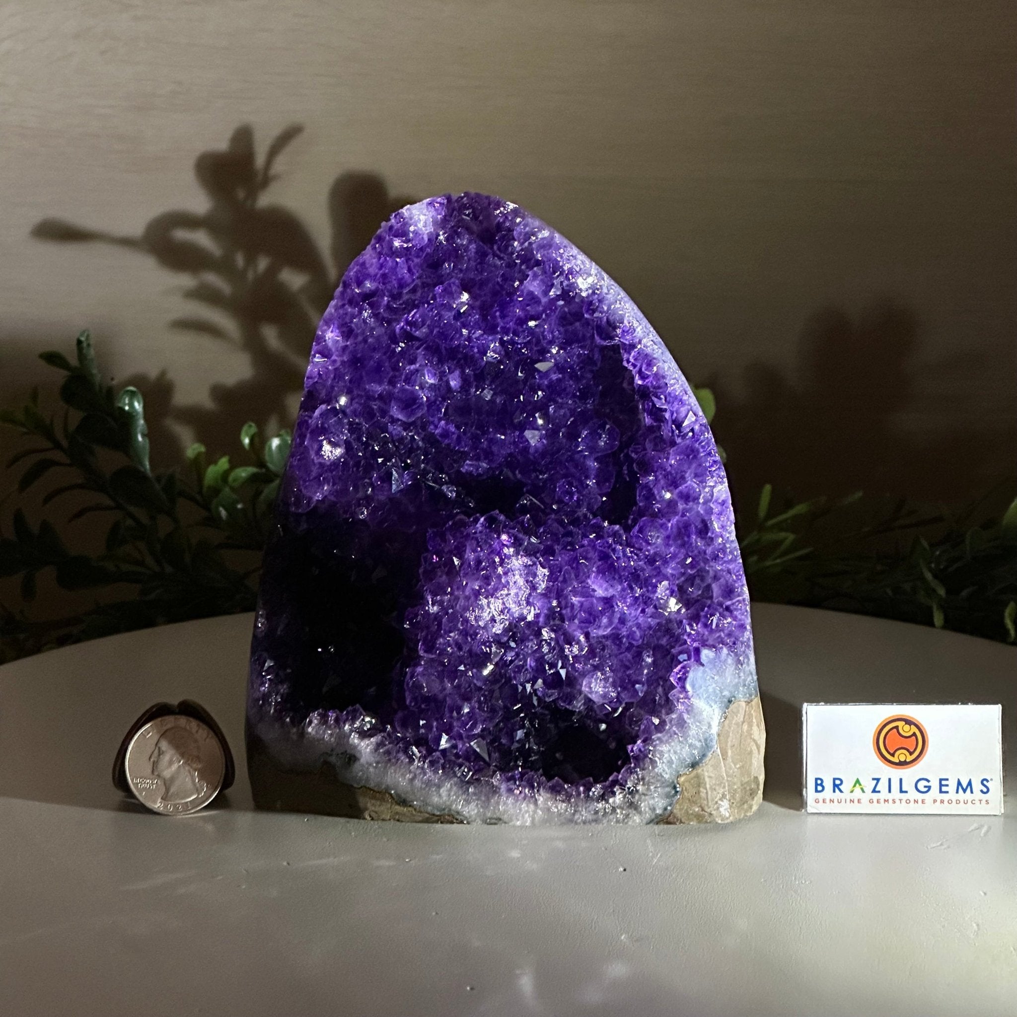 Small Extra Plus Quality Amethyst Cluster Flat Base, 5.9" Tall 5611 - 0926 - Brazil GemsBrazil GemsSmall Extra Plus Quality Amethyst Cluster Flat Base, 5.9" Tall 5611 - 0926Small Clusters with Flat Bases5611 - 0926