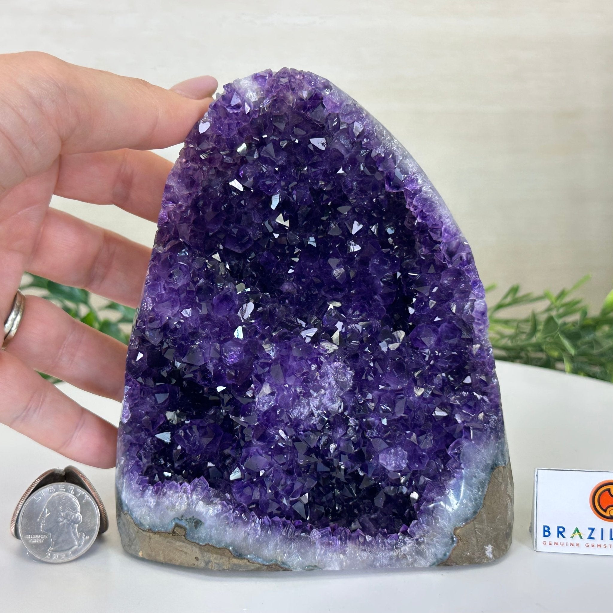 Small Extra Plus Quality Amethyst Cluster Flat Base, 5.9" Tall 5611 - 0926 - Brazil GemsBrazil GemsSmall Extra Plus Quality Amethyst Cluster Flat Base, 5.9" Tall 5611 - 0926Small Clusters with Flat Bases5611 - 0926
