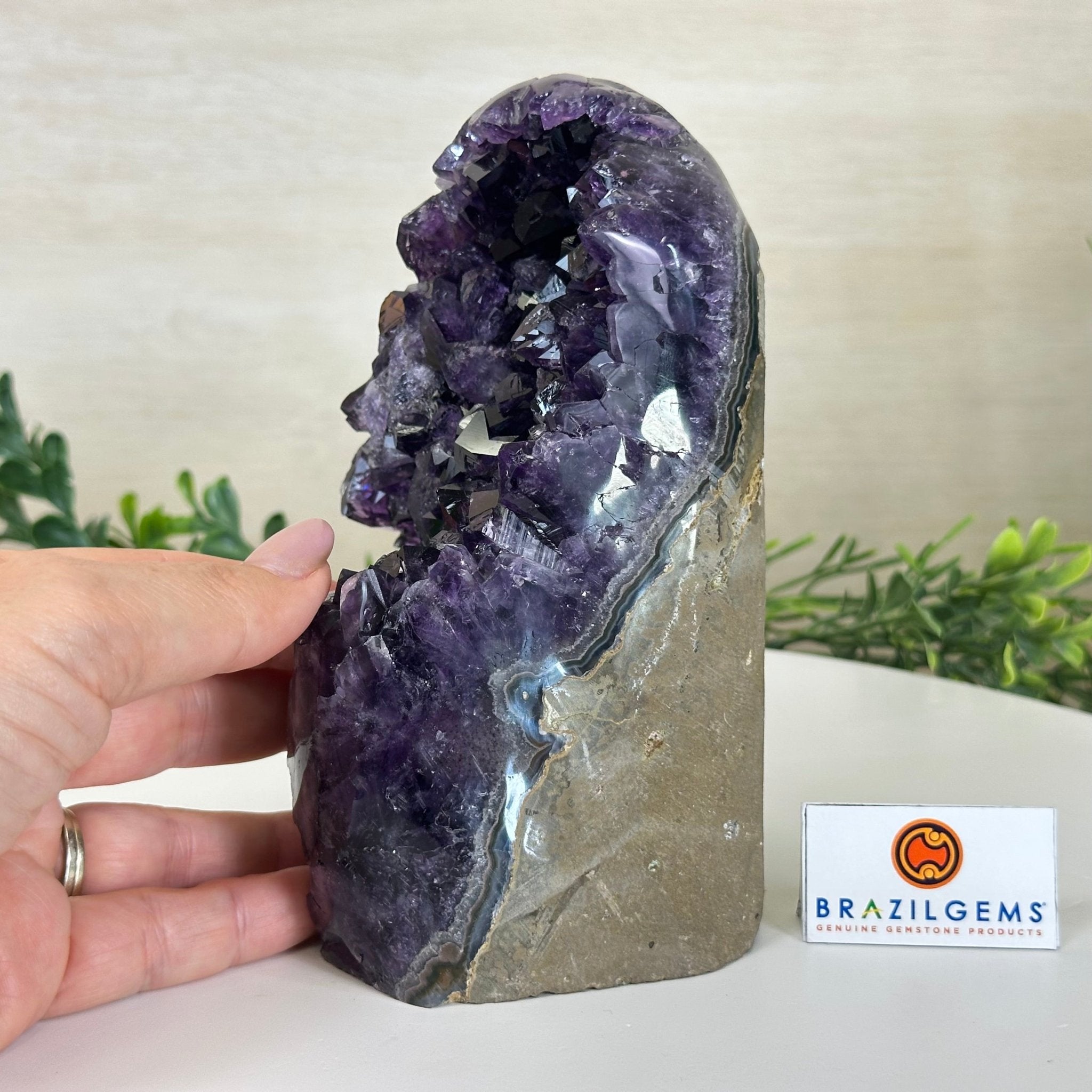 Small Extra Plus Quality Amethyst Cluster Flat Base, 6.3" Tall 5611 - 0928 - Brazil GemsBrazil GemsSmall Extra Plus Quality Amethyst Cluster Flat Base, 6.3" Tall 5611 - 0928Small Clusters with Flat Bases5611 - 0928