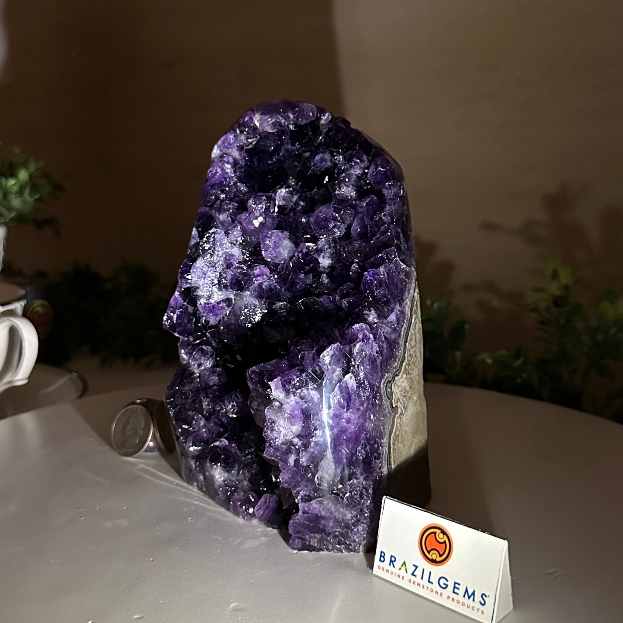 Small Extra Plus Quality Amethyst Cluster Flat Base, 6.3" Tall 5611 - 0928 - Brazil GemsBrazil GemsSmall Extra Plus Quality Amethyst Cluster Flat Base, 6.3" Tall 5611 - 0928Small Clusters with Flat Bases5611 - 0928