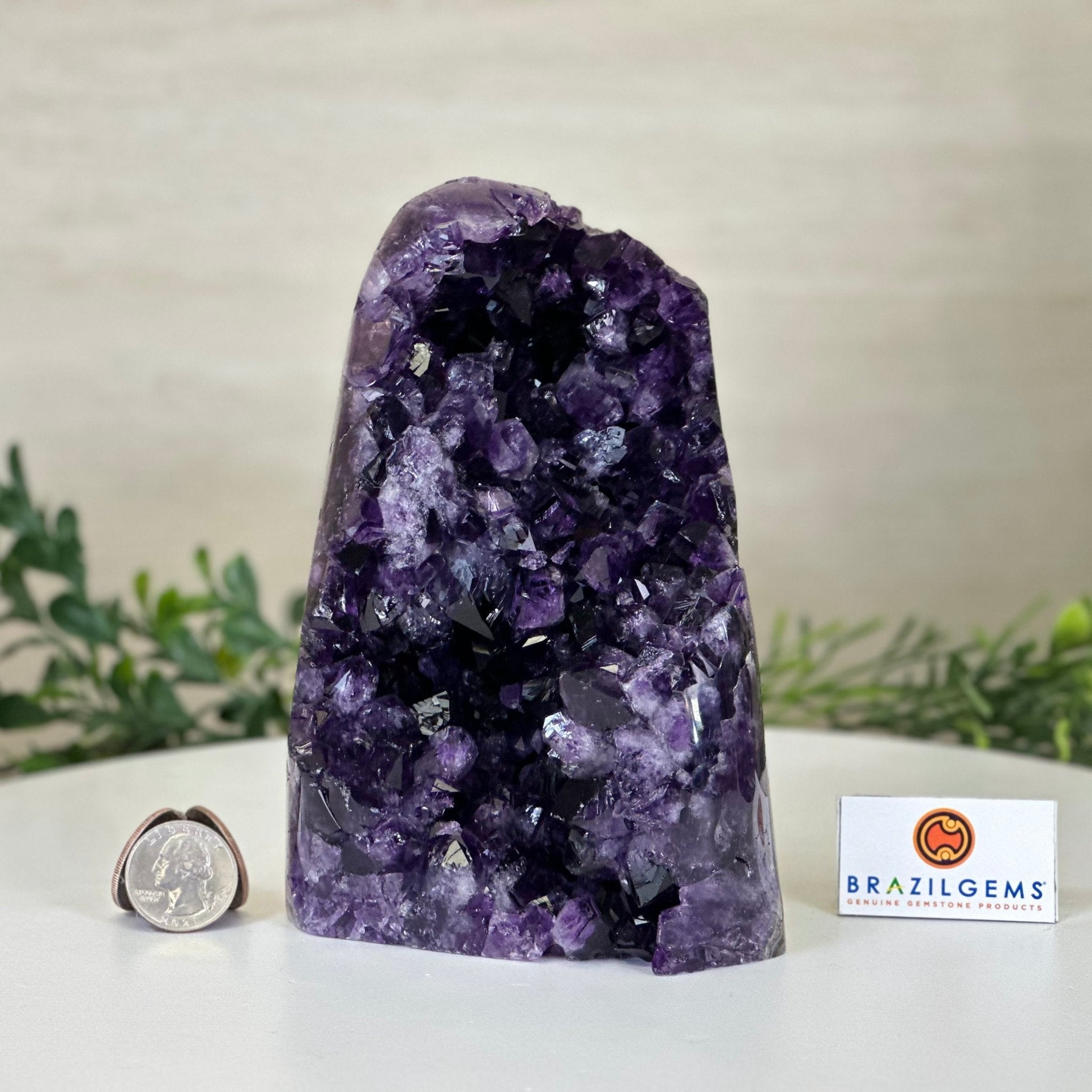 Small Extra Plus Quality Amethyst Cluster Flat Base, 6.3" Tall 5611 - 0928 - Brazil GemsBrazil GemsSmall Extra Plus Quality Amethyst Cluster Flat Base, 6.3" Tall 5611 - 0928Small Clusters with Flat Bases5611 - 0928