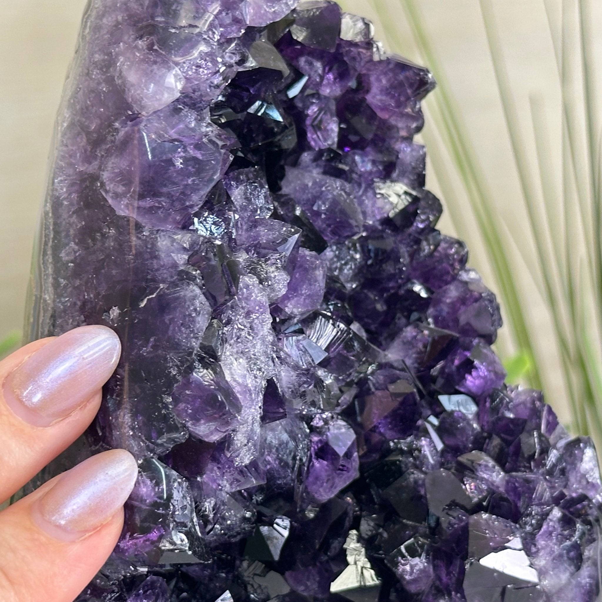 Small Extra Plus Quality Amethyst Cluster Flat Base, 6.3" Tall 5611 - 0928 - Brazil GemsBrazil GemsSmall Extra Plus Quality Amethyst Cluster Flat Base, 6.3" Tall 5611 - 0928Small Clusters with Flat Bases5611 - 0928