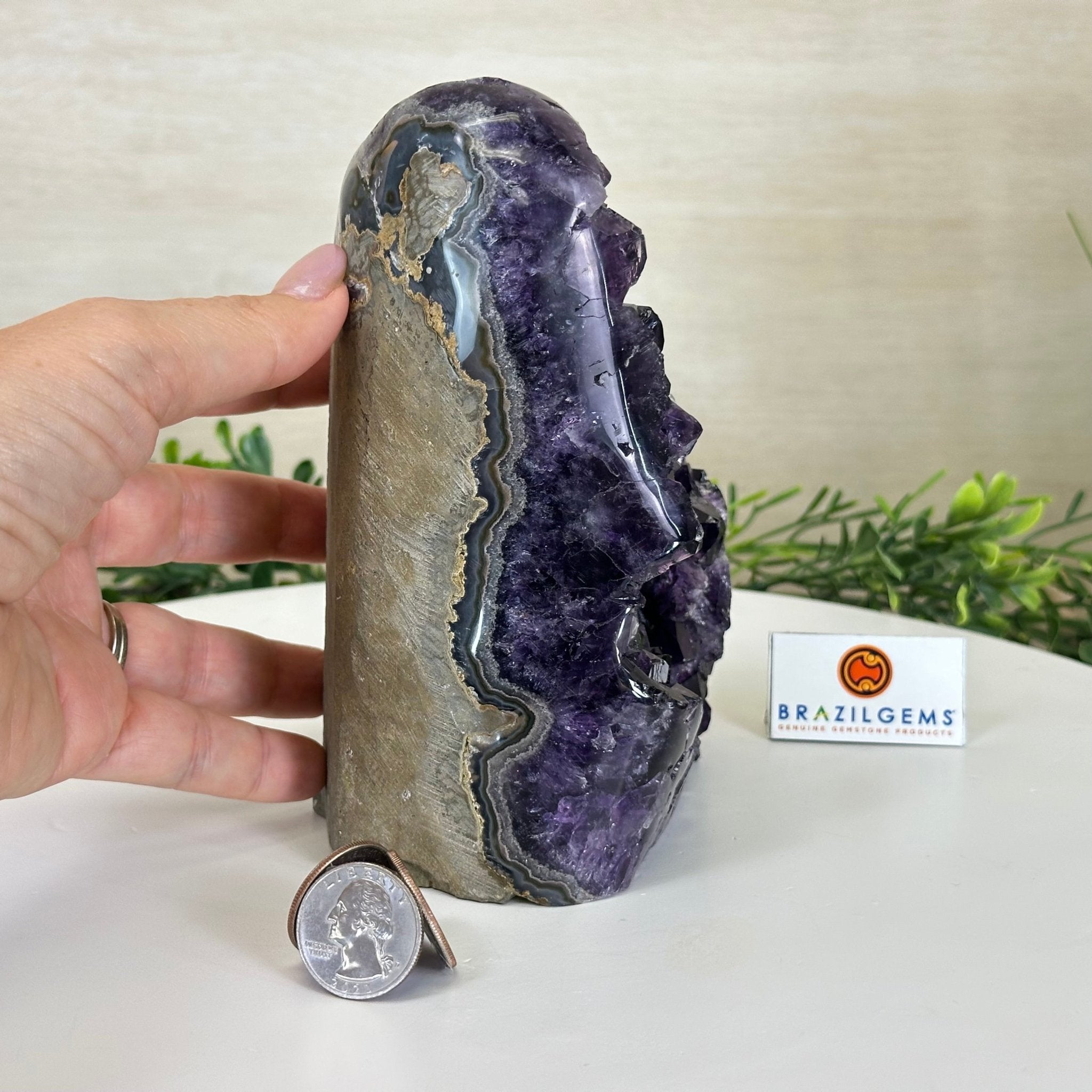 Small Extra Plus Quality Amethyst Cluster Flat Base, 6.3" Tall 5611 - 0928 - Brazil GemsBrazil GemsSmall Extra Plus Quality Amethyst Cluster Flat Base, 6.3" Tall 5611 - 0928Small Clusters with Flat Bases5611 - 0928