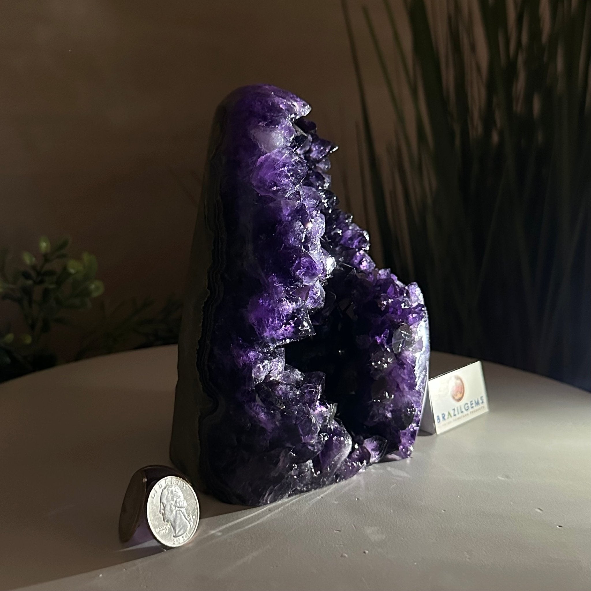 Small Extra Plus Quality Amethyst Cluster Flat Base, 6.3" Tall 5611 - 0928 - Brazil GemsBrazil GemsSmall Extra Plus Quality Amethyst Cluster Flat Base, 6.3" Tall 5611 - 0928Small Clusters with Flat Bases5611 - 0928