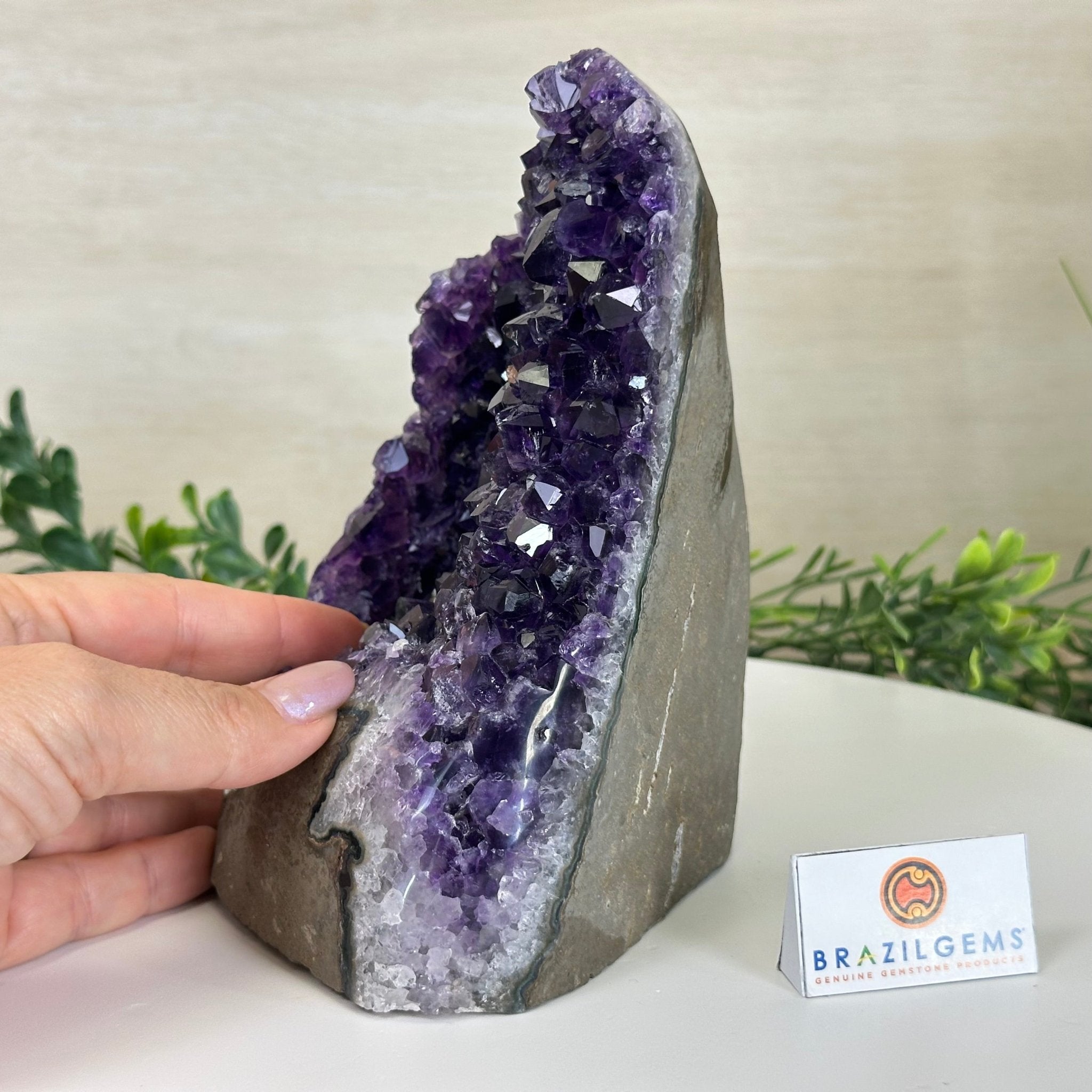 Small Extra Plus Quality Amethyst Cluster Flat Base , 6.9" Tall 5611 - 0929 - Brazil GemsBrazil GemsSmall Extra Plus Quality Amethyst Cluster Flat Base , 6.9" Tall 5611 - 0929Small Clusters with Flat Bases5611 - 0929
