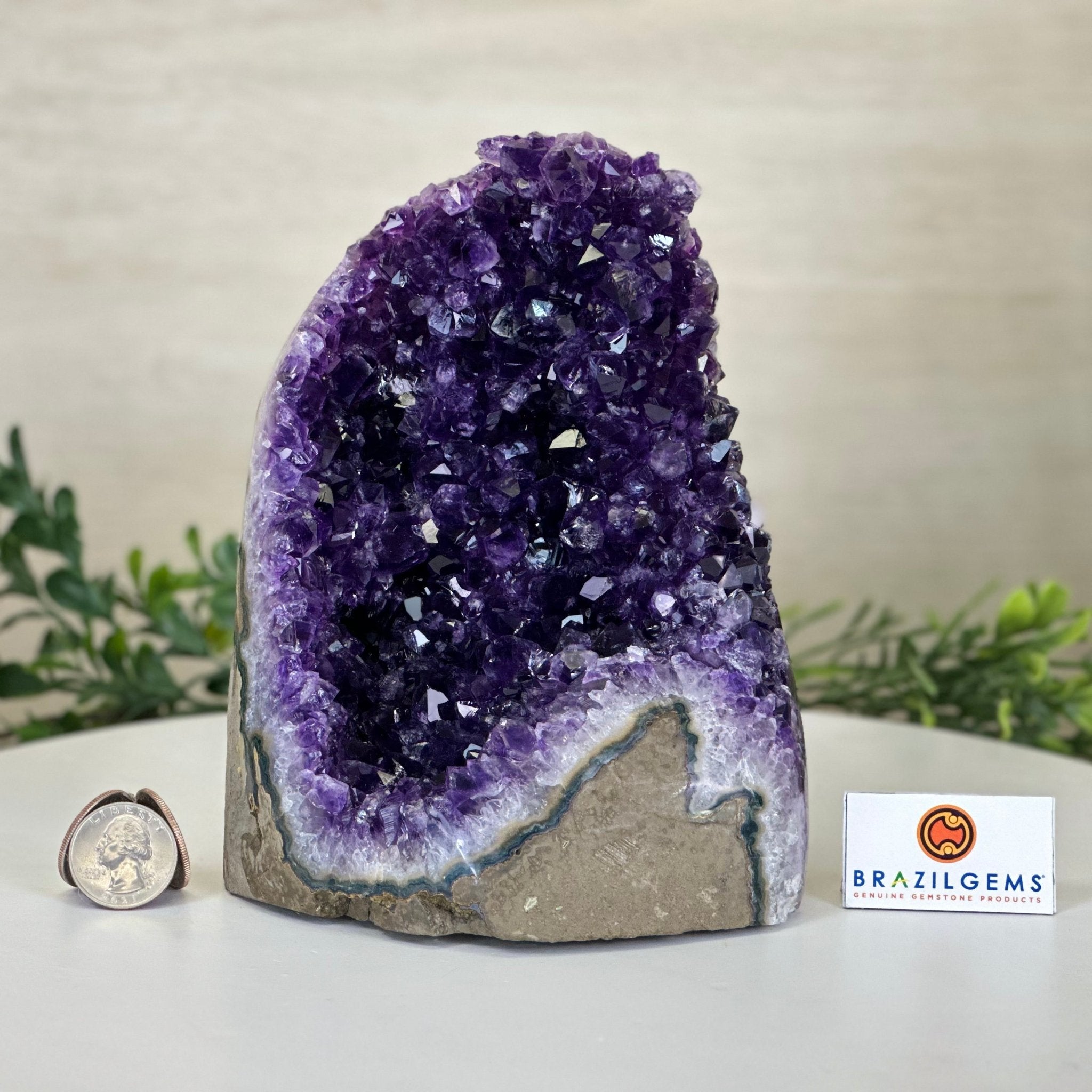 Small Extra Plus Quality Amethyst Cluster Flat Base , 6.9" Tall 5611 - 0929 - Brazil GemsBrazil GemsSmall Extra Plus Quality Amethyst Cluster Flat Base , 6.9" Tall 5611 - 0929Small Clusters with Flat Bases5611 - 0929