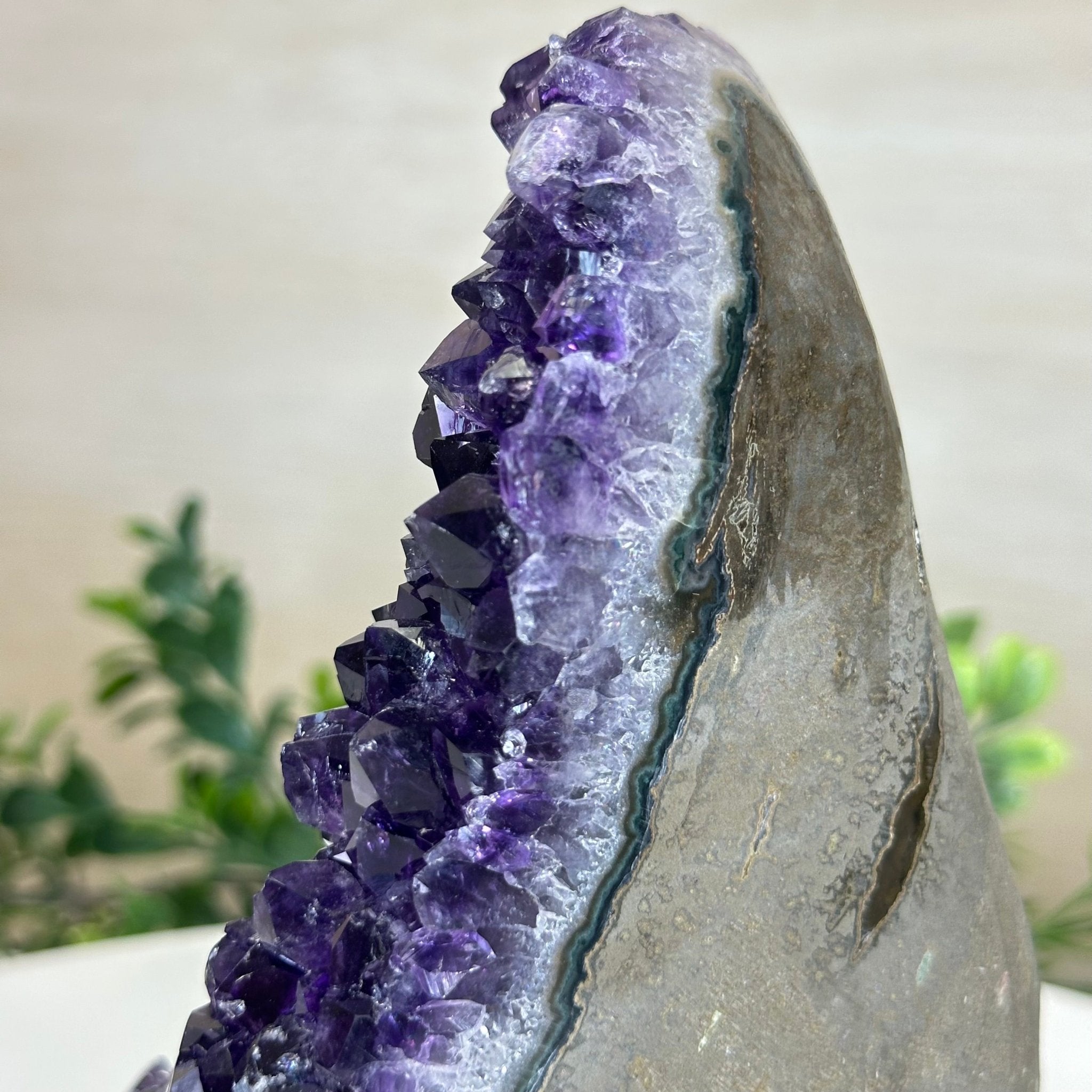Small Extra Plus Quality Amethyst Cluster Flat Base , 6.9" Tall 5611 - 0929 - Brazil GemsBrazil GemsSmall Extra Plus Quality Amethyst Cluster Flat Base , 6.9" Tall 5611 - 0929Small Clusters with Flat Bases5611 - 0929