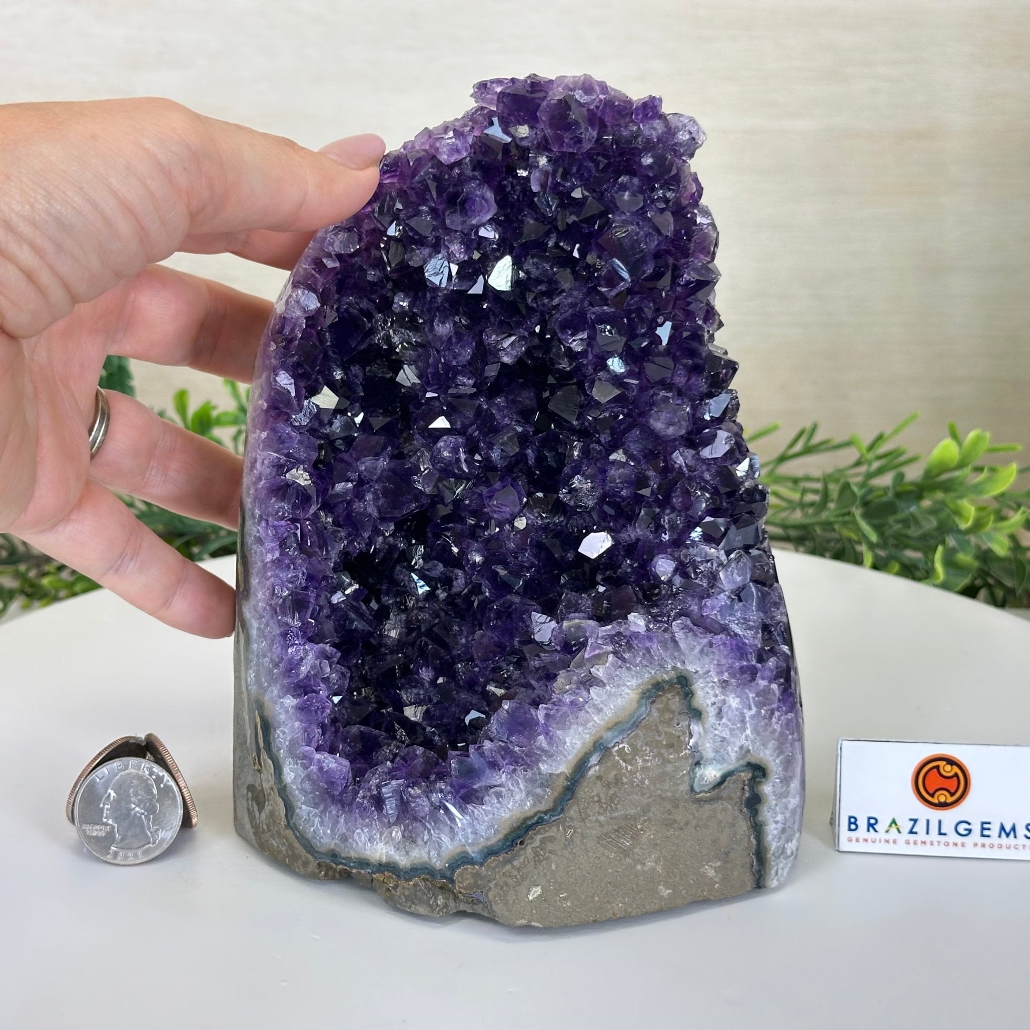 Small Extra Plus Quality Amethyst Cluster Flat Base , 6.9" Tall 5611 - 0929 - Brazil GemsBrazil GemsSmall Extra Plus Quality Amethyst Cluster Flat Base , 6.9" Tall 5611 - 0929Small Clusters with Flat Bases5611 - 0929