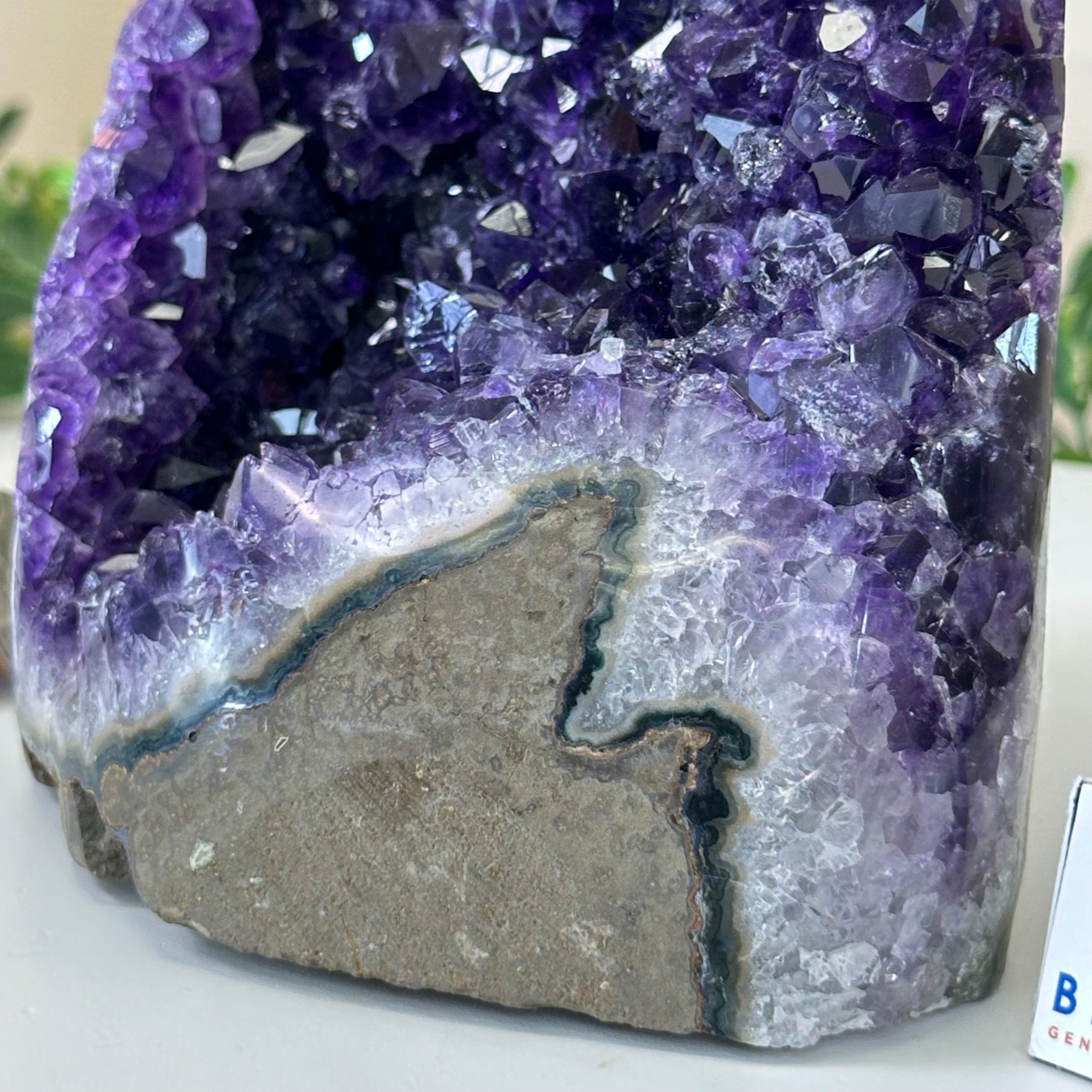 Small Extra Plus Quality Amethyst Cluster Flat Base , 6.9" Tall 5611 - 0929 - Brazil GemsBrazil GemsSmall Extra Plus Quality Amethyst Cluster Flat Base , 6.9" Tall 5611 - 0929Small Clusters with Flat Bases5611 - 0929
