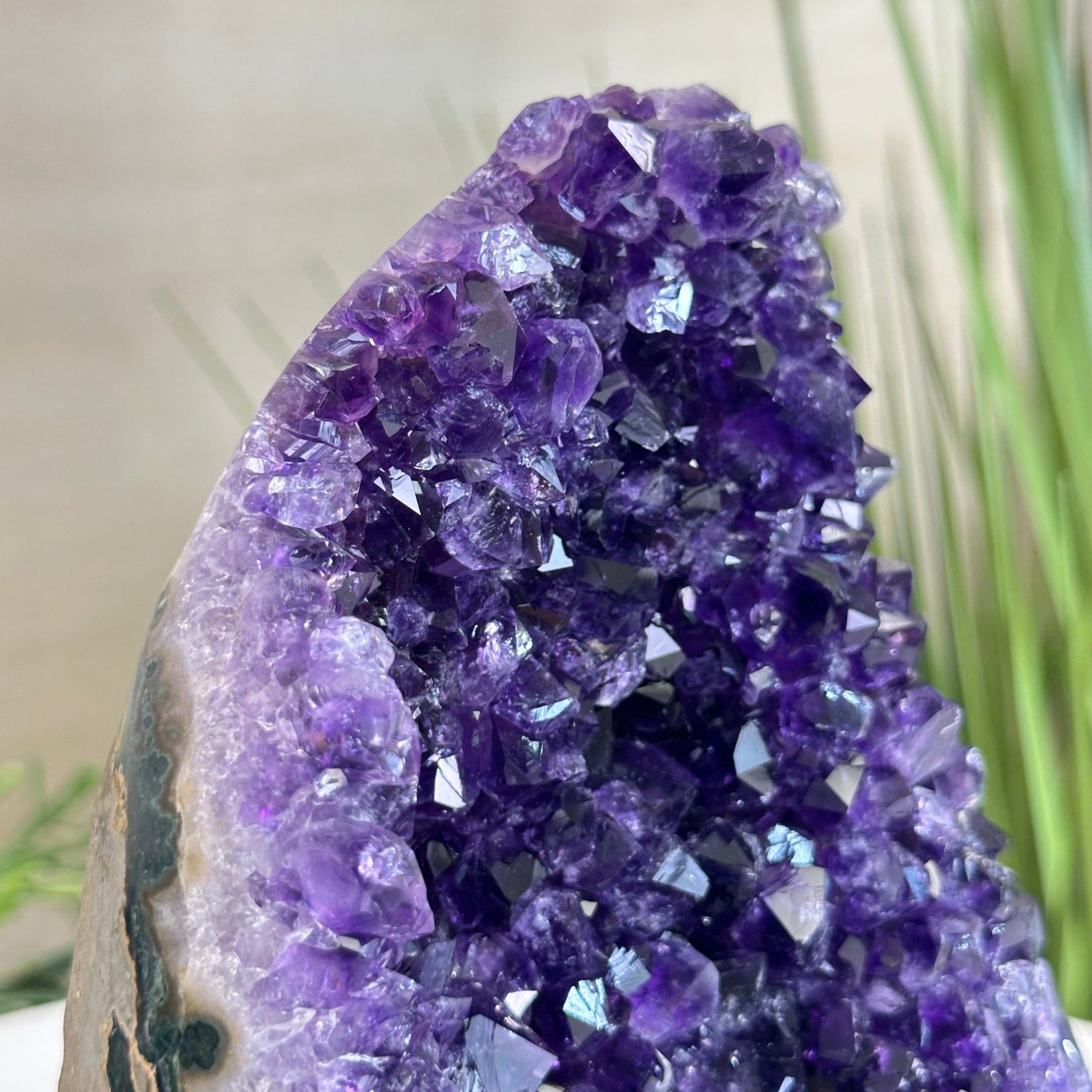 Small Extra Plus Quality Amethyst Cluster Flat Base , 6.9" Tall 5611 - 0929 - Brazil GemsBrazil GemsSmall Extra Plus Quality Amethyst Cluster Flat Base , 6.9" Tall 5611 - 0929Small Clusters with Flat Bases5611 - 0929