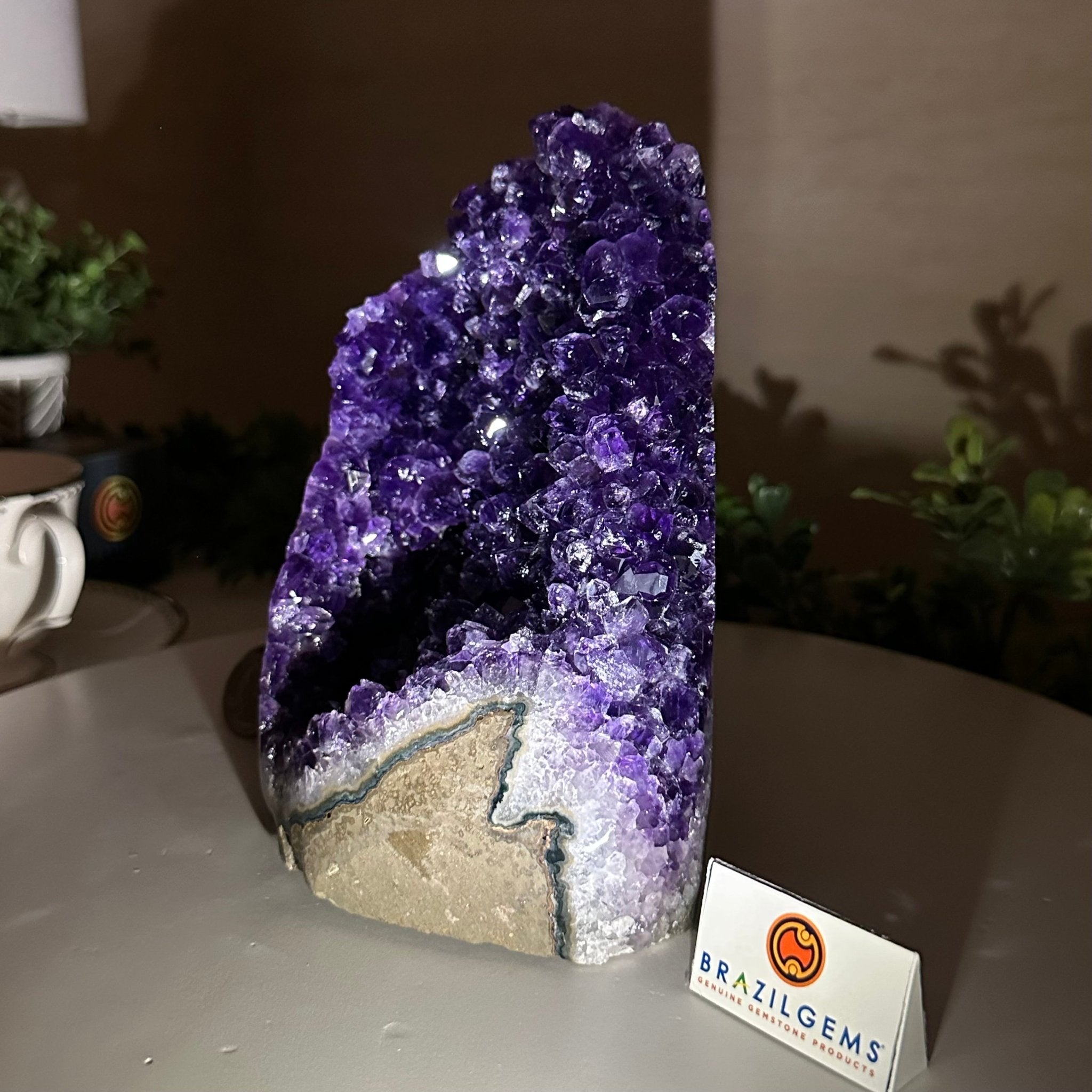 Small Extra Plus Quality Amethyst Cluster Flat Base , 6.9" Tall 5611 - 0929 - Brazil GemsBrazil GemsSmall Extra Plus Quality Amethyst Cluster Flat Base , 6.9" Tall 5611 - 0929Small Clusters with Flat Bases5611 - 0929