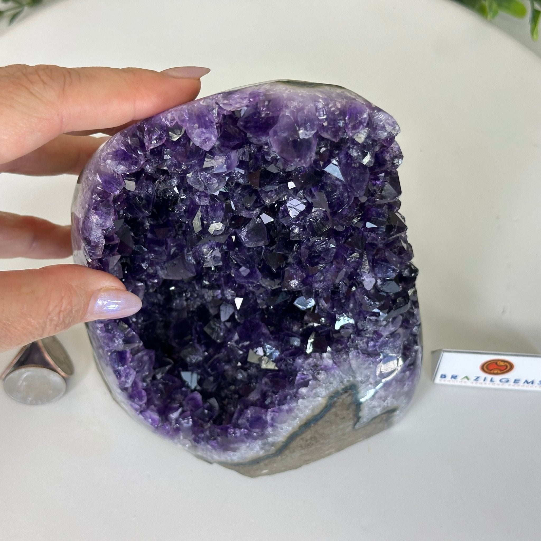 Small Extra Plus Quality Amethyst Cluster Flat Base , 6.9" Tall 5611 - 0929 - Brazil GemsBrazil GemsSmall Extra Plus Quality Amethyst Cluster Flat Base , 6.9" Tall 5611 - 0929Small Clusters with Flat Bases5611 - 0929