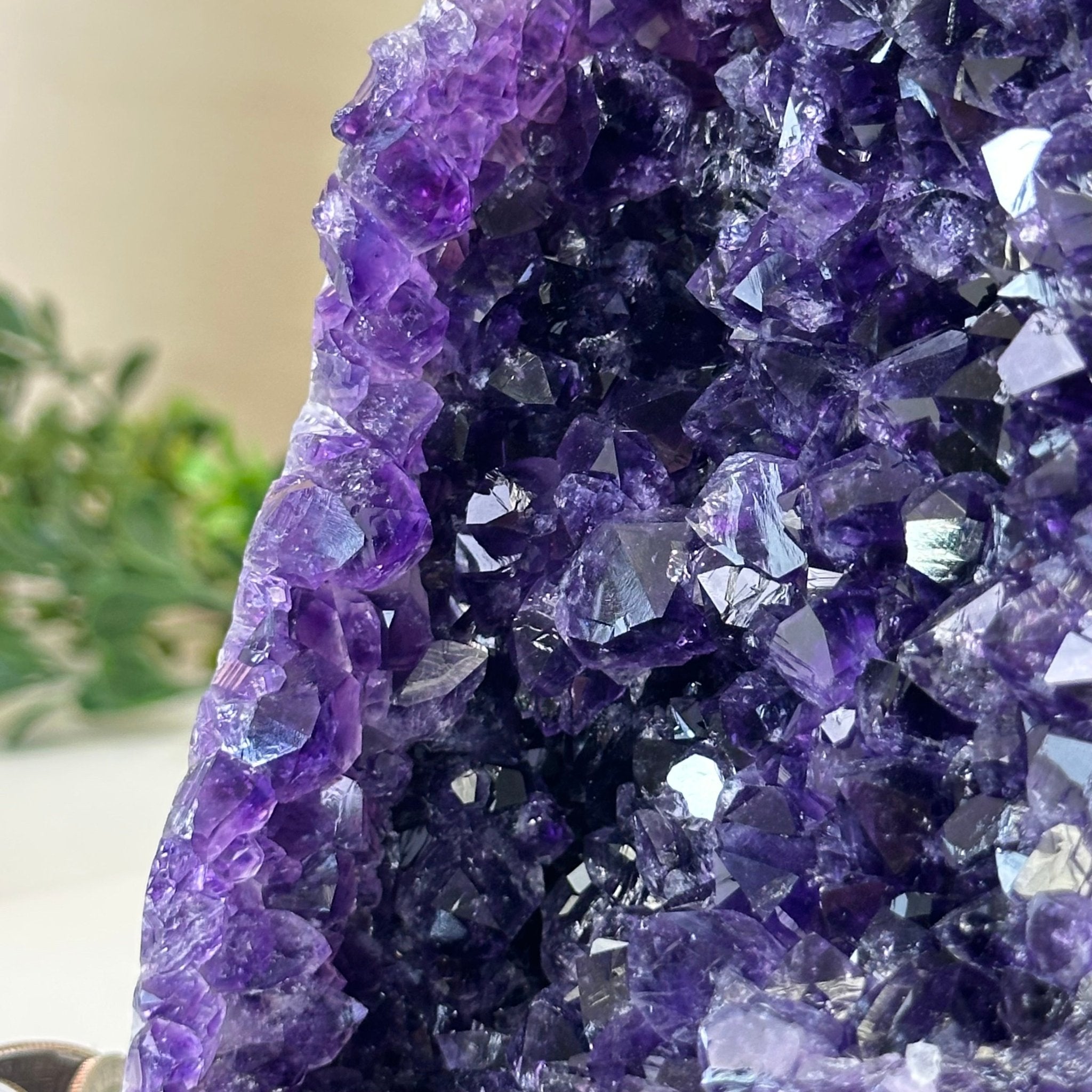 Small Extra Plus Quality Amethyst Cluster Flat Base , 6.9" Tall 5611 - 0929 - Brazil GemsBrazil GemsSmall Extra Plus Quality Amethyst Cluster Flat Base , 6.9" Tall 5611 - 0929Small Clusters with Flat Bases5611 - 0929