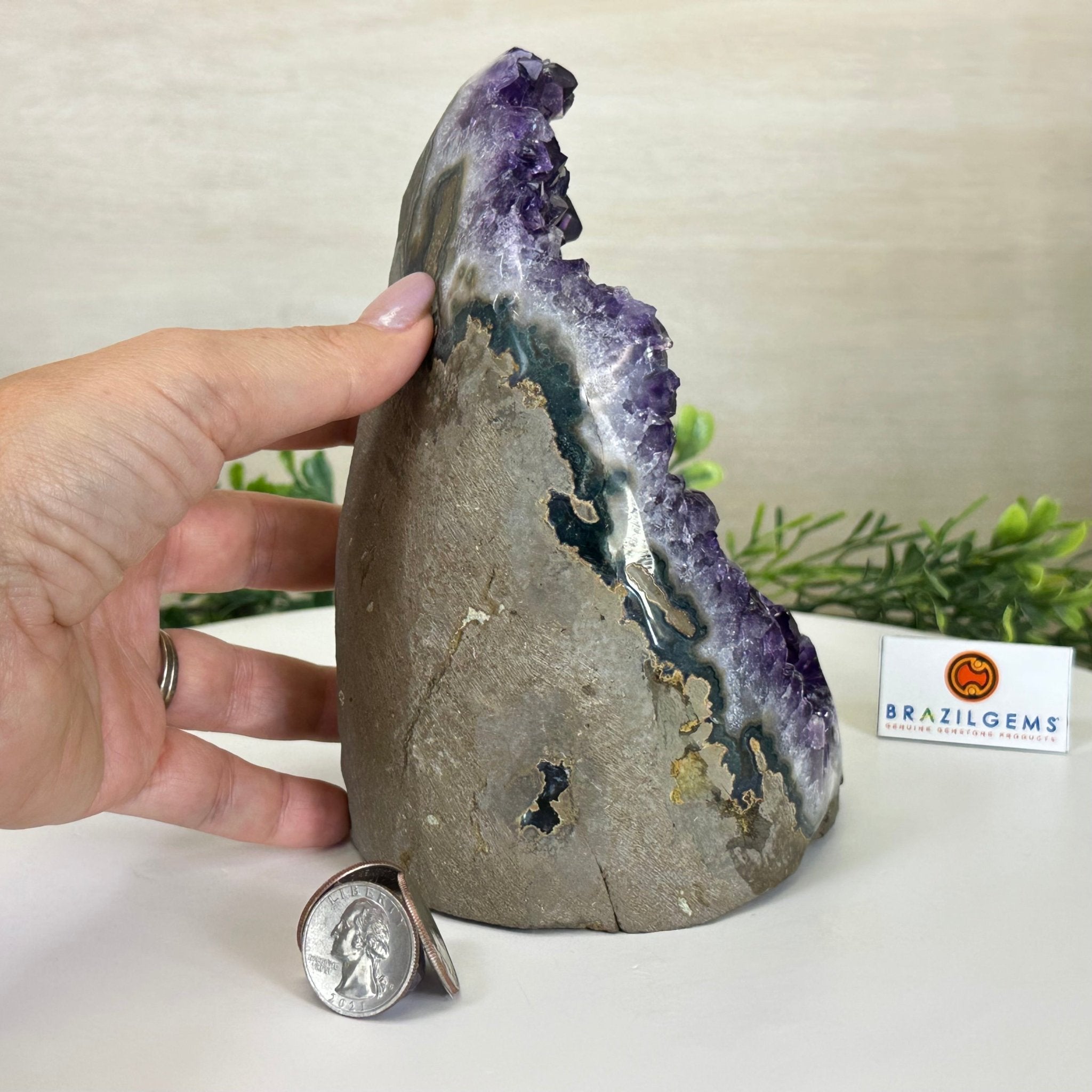 Small Extra Plus Quality Amethyst Cluster Flat Base , 6.9" Tall 5611 - 0929 - Brazil GemsBrazil GemsSmall Extra Plus Quality Amethyst Cluster Flat Base , 6.9" Tall 5611 - 0929Small Clusters with Flat Bases5611 - 0929