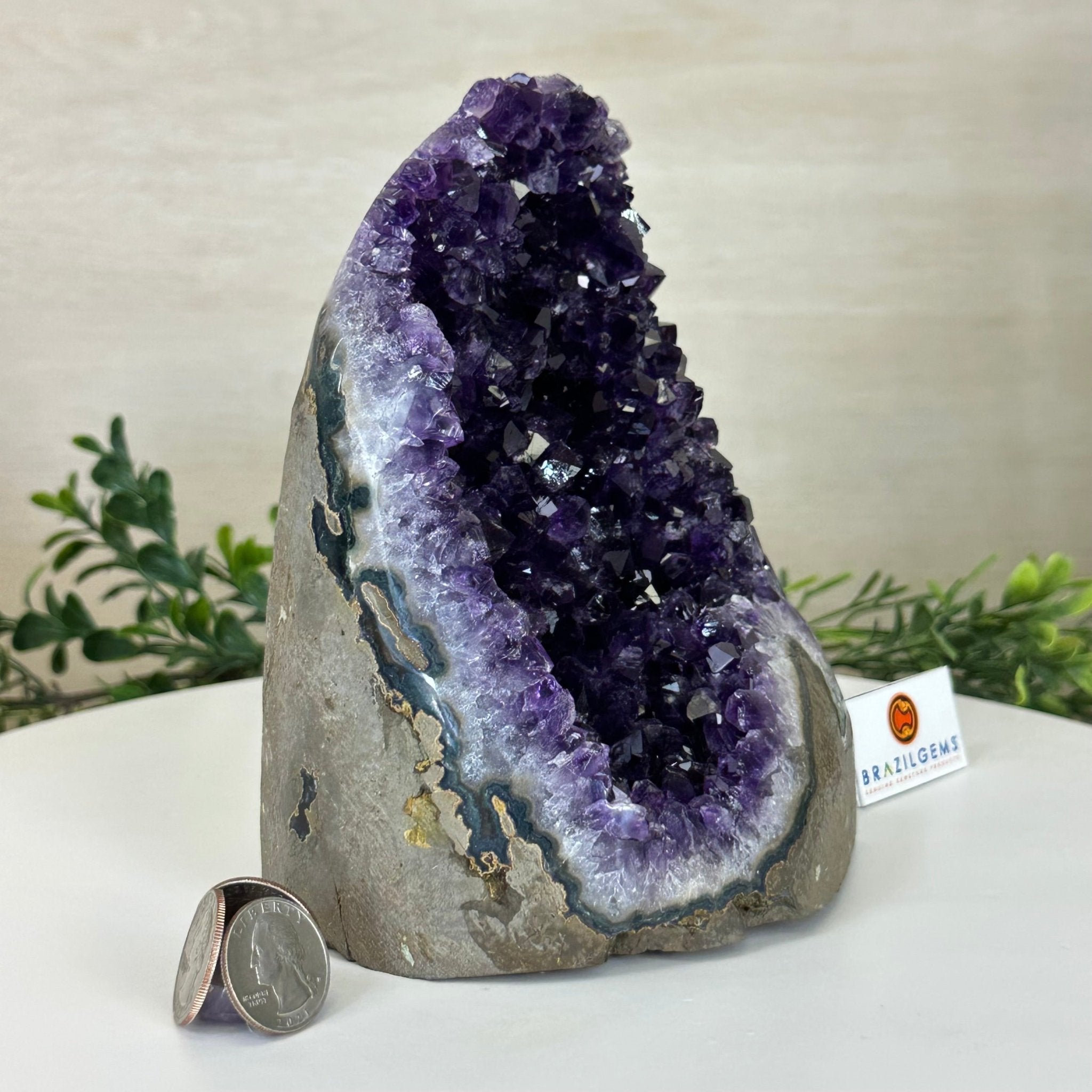 Small Extra Plus Quality Amethyst Cluster Flat Base , 6.9" Tall 5611 - 0929 - Brazil GemsBrazil GemsSmall Extra Plus Quality Amethyst Cluster Flat Base , 6.9" Tall 5611 - 0929Small Clusters with Flat Bases5611 - 0929