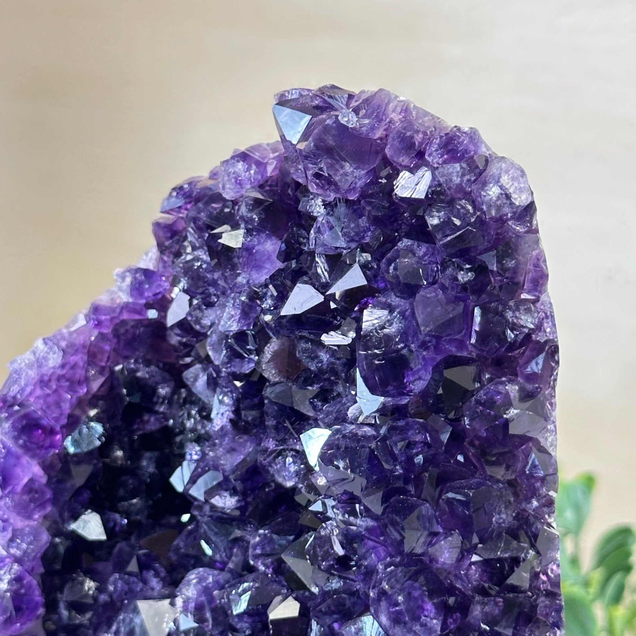 Small Extra Plus Quality Amethyst Cluster Flat Base , 6.9" Tall 5611 - 0929 - Brazil GemsBrazil GemsSmall Extra Plus Quality Amethyst Cluster Flat Base , 6.9" Tall 5611 - 0929Small Clusters with Flat Bases5611 - 0929