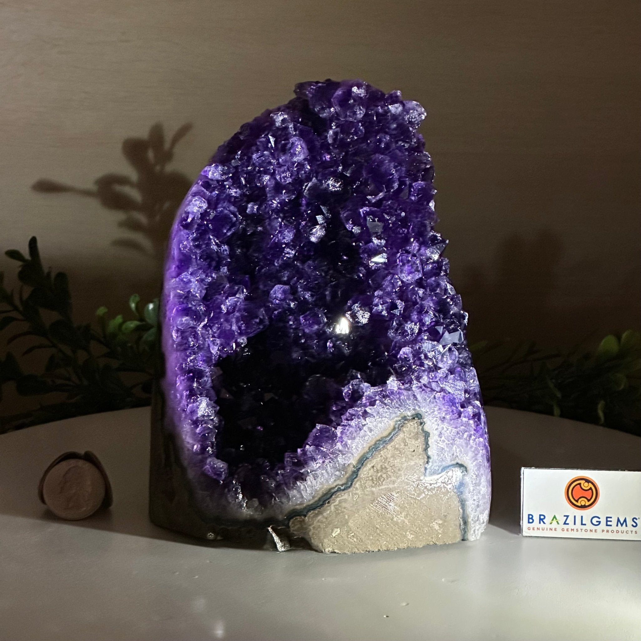 Small Extra Plus Quality Amethyst Cluster Flat Base , 6.9" Tall 5611 - 0929 - Brazil GemsBrazil GemsSmall Extra Plus Quality Amethyst Cluster Flat Base , 6.9" Tall 5611 - 0929Small Clusters with Flat Bases5611 - 0929