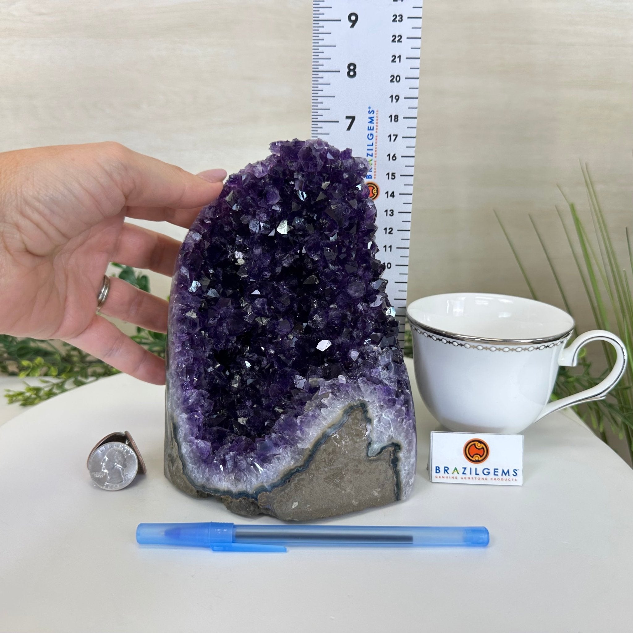 Small Extra Plus Quality Amethyst Cluster Flat Base , 6.9" Tall 5611 - 0929 - Brazil GemsBrazil GemsSmall Extra Plus Quality Amethyst Cluster Flat Base , 6.9" Tall 5611 - 0929Small Clusters with Flat Bases5611 - 0929