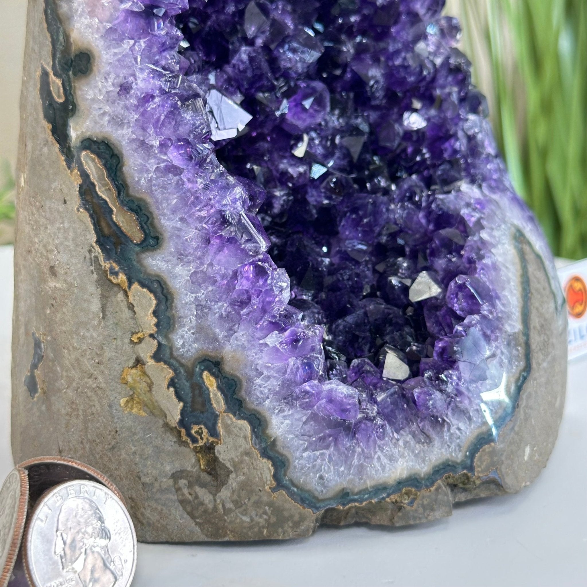 Small Extra Plus Quality Amethyst Cluster Flat Base , 6.9" Tall 5611 - 0929 - Brazil GemsBrazil GemsSmall Extra Plus Quality Amethyst Cluster Flat Base , 6.9" Tall 5611 - 0929Small Clusters with Flat Bases5611 - 0929