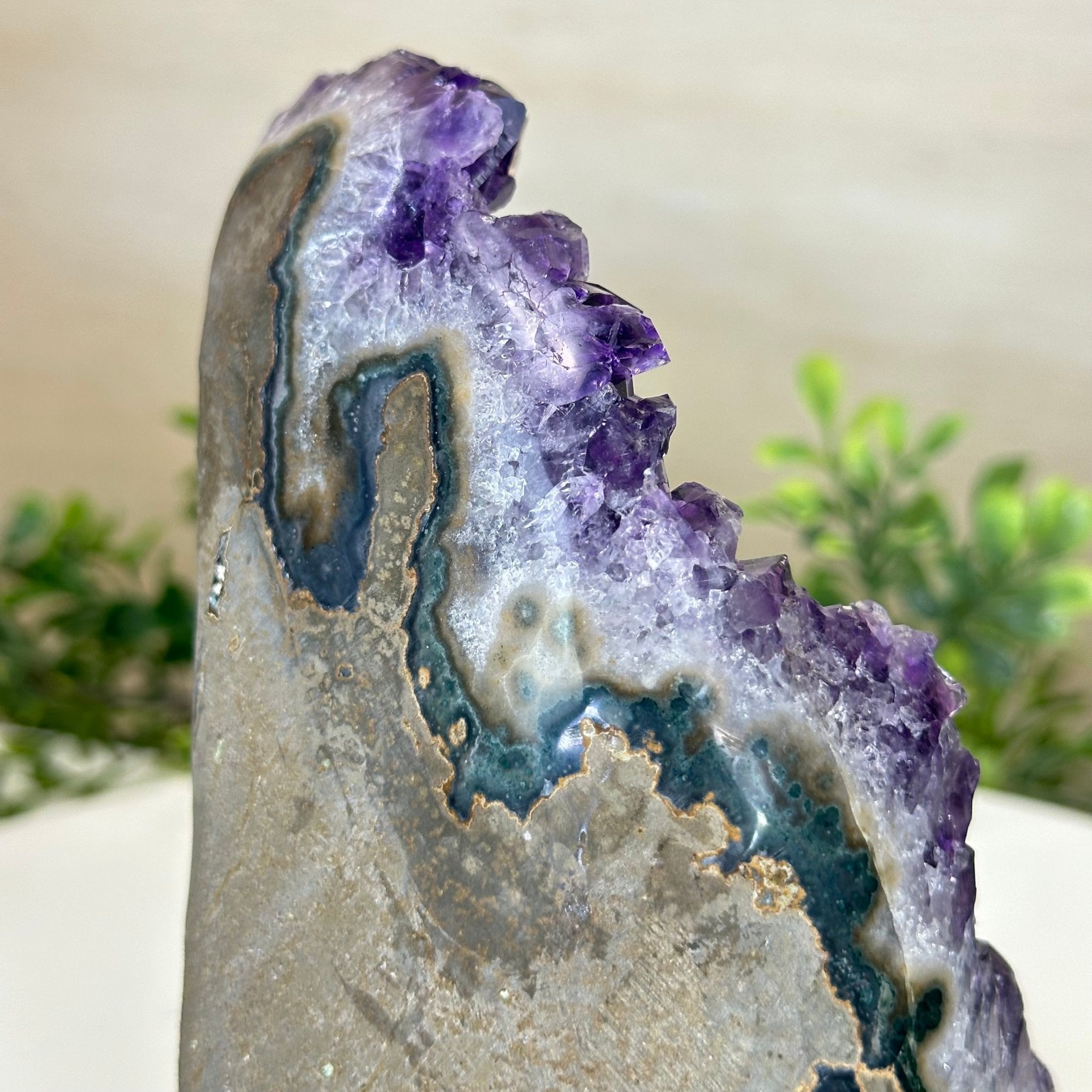 Small Extra Plus Quality Amethyst Cluster Flat Base , 6.9" Tall 5611 - 0929 - Brazil GemsBrazil GemsSmall Extra Plus Quality Amethyst Cluster Flat Base , 6.9" Tall 5611 - 0929Small Clusters with Flat Bases5611 - 0929