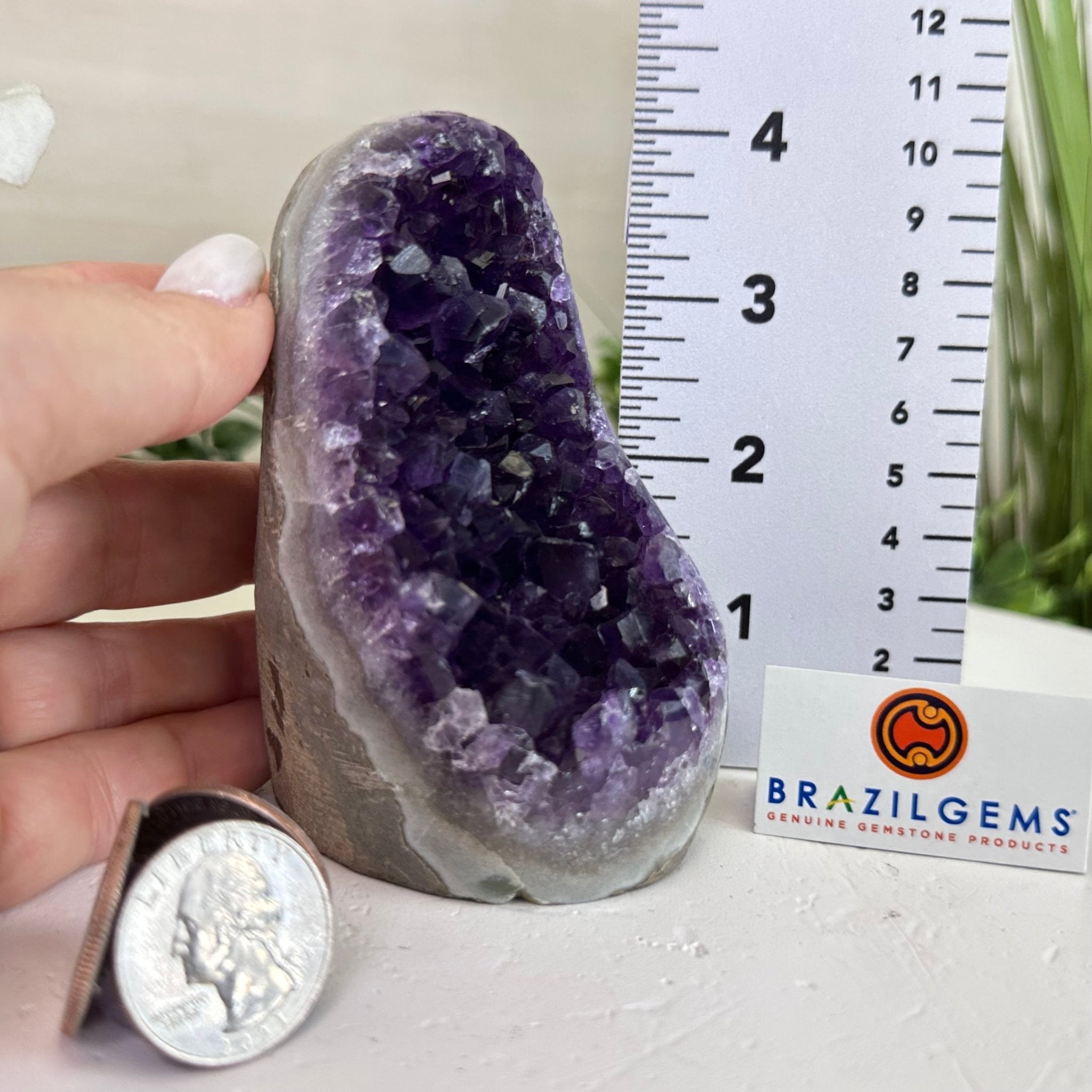 Small Extra Plus Quality Amethyst Cluster w/ flat bottom, 3.9" Tall #5611 - 0850 - Brazil GemsBrazil GemsSmall Extra Plus Quality Amethyst Cluster w/ flat bottom, 3.9" Tall #5611 - 0850Small Clusters with Flat Bases5611 - 0850