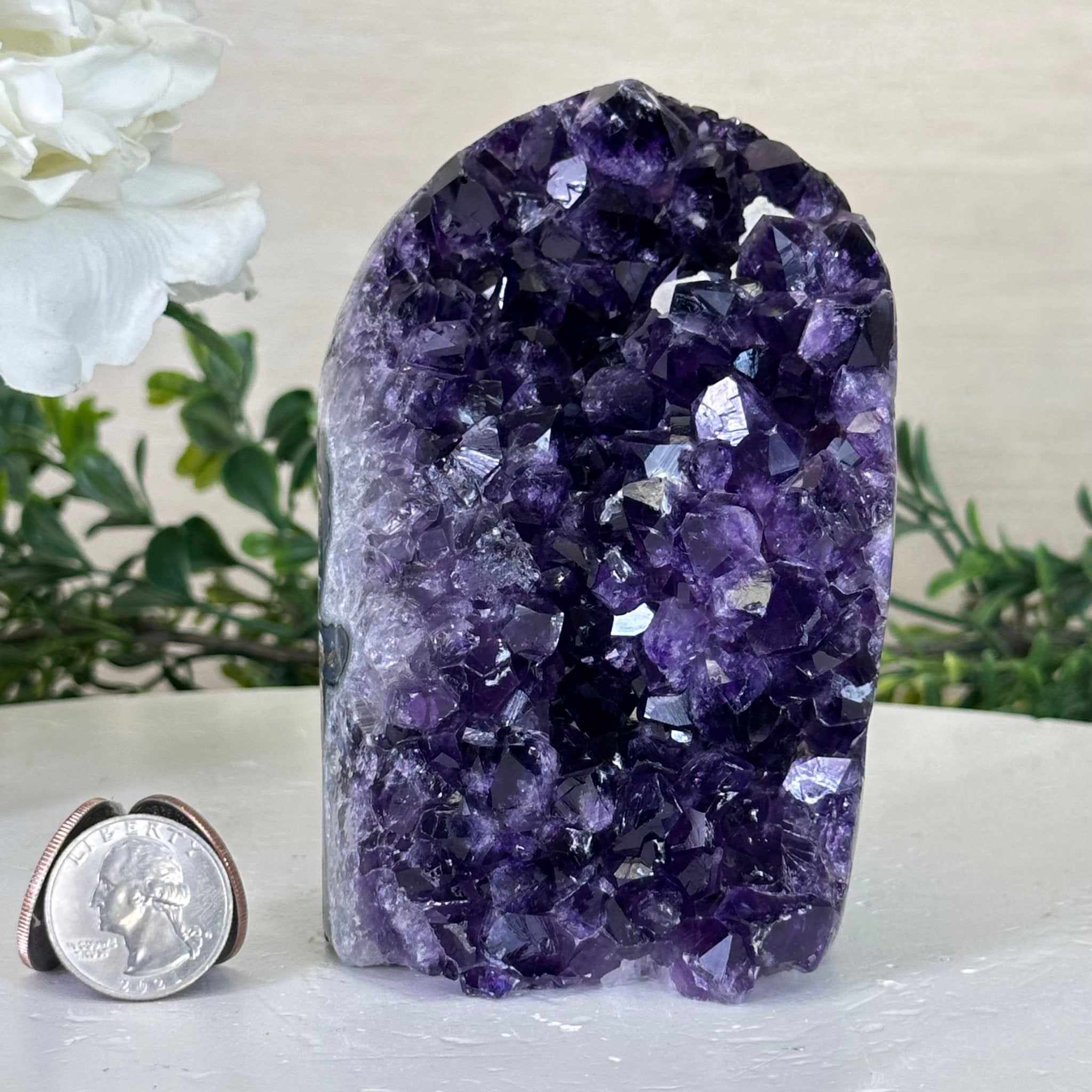 Small Extra Plus Quality Amethyst Cluster w/ flat bottom, 4.5" Tall #5611 - 0855 - Brazil GemsBrazil GemsSmall Extra Plus Quality Amethyst Cluster w/ flat bottom, 4.5" Tall #5611 - 0855Small Clusters with Flat Bases5611 - 0855