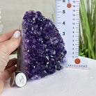 Small Extra Plus Quality Amethyst Cluster w/ flat bottom, 5.1" Tall #5611 - 0856 - Brazil GemsBrazil GemsSmall Extra Plus Quality Amethyst Cluster w/ flat bottom, 5.1" Tall #5611 - 0856Small Clusters with Flat Bases5611 - 0856