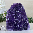 Small Extra Plus Quality Amethyst Cluster w/ flat bottom, 5.1" Tall #5611 - 0856 - Brazil GemsBrazil GemsSmall Extra Plus Quality Amethyst Cluster w/ flat bottom, 5.1" Tall #5611 - 0856Small Clusters with Flat Bases5611 - 0856