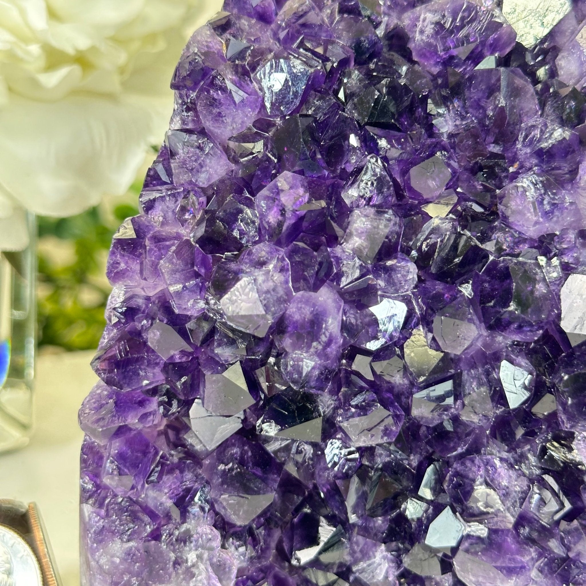 Small Extra Plus Quality Amethyst Cluster w/ flat bottom, 6.3" Tall #5611 - 0857 - Brazil GemsBrazil GemsSmall Extra Plus Quality Amethyst Cluster w/ flat bottom, 6.3" Tall #5611 - 0857Small Clusters with Flat Bases5611 - 0857