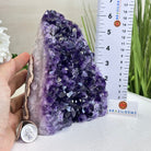 Small Extra Plus Quality Amethyst Cluster w/ flat bottom, 6.3" Tall #5611 - 0857 - Brazil GemsBrazil GemsSmall Extra Plus Quality Amethyst Cluster w/ flat bottom, 6.3" Tall #5611 - 0857Small Clusters with Flat Bases5611 - 0857