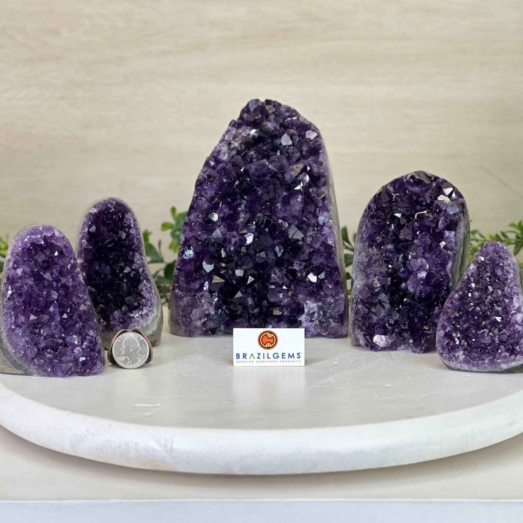 Small Extra Plus Quality Amethyst Crystal Cluster w/ flat base, Various Options #5611 - Brazil GemsBrazil GemsSmall Extra Plus Quality Amethyst Crystal Cluster w/ flat base, Various Options #5611Small Clusters with Flat Bases5611 - 0846