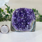 Small Extra Plus Quality Amethyst Crystal Cluster w/ flat bottom, 2.9" Tall #5611 - 0849 - Brazil GemsBrazil GemsSmall Extra Plus Quality Amethyst Crystal Cluster w/ flat bottom, 2.9" Tall #5611 - 0849Small Clusters with Flat Bases5611 - 0849