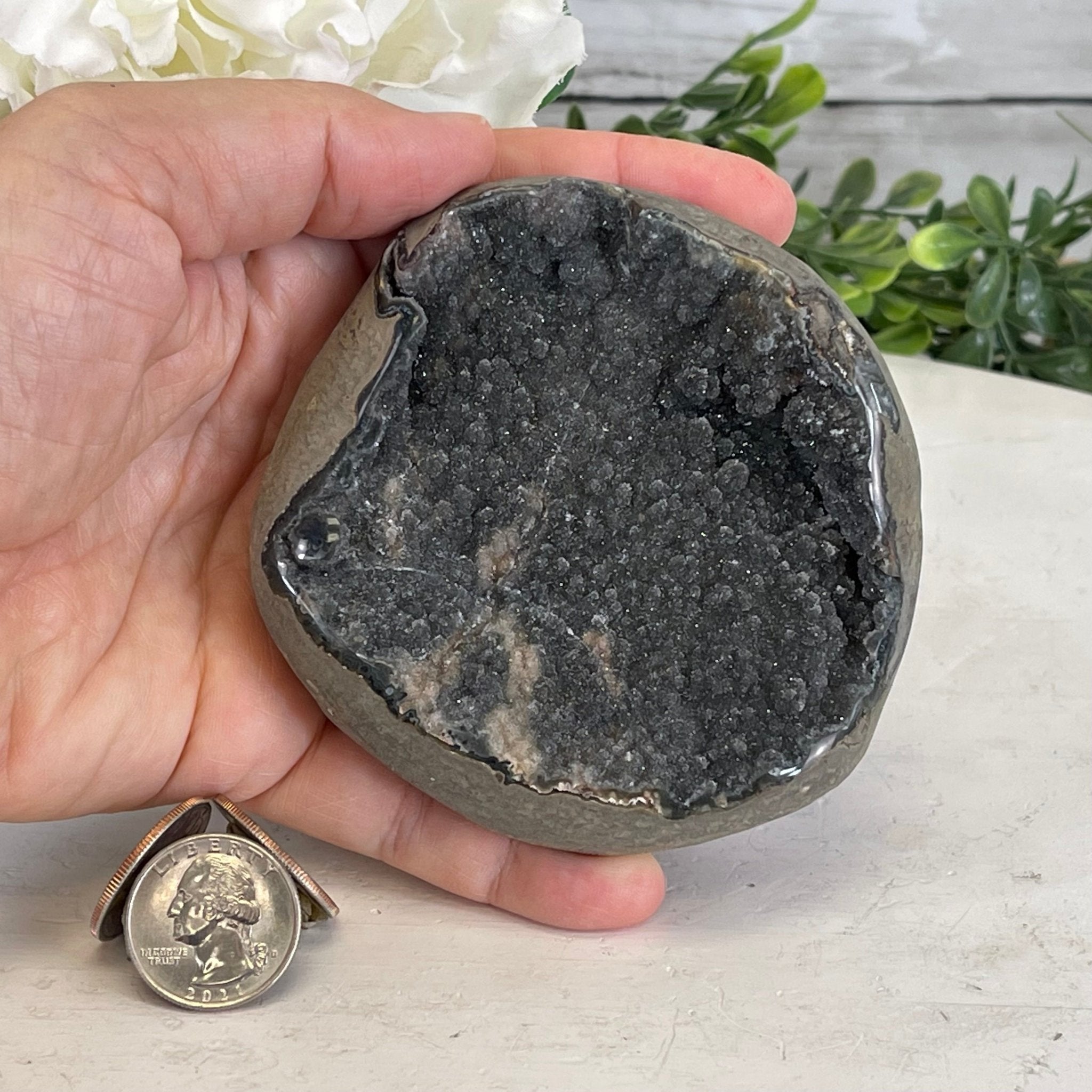 Small Extra Plus Quality Black Amethyst Cluster, 1.8" Tall #5611 - 0460 - Brazil GemsBrazil GemsSmall Extra Plus Quality Black Amethyst Cluster, 1.8" Tall #5611 - 0460Small Clusters with Flat Bases5611 - 0460