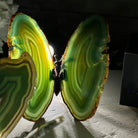 Small Green Agate "Butterfly Wings", ~ 4" Length #5049GR - Brazil GemsBrazil GemsSmall Green Agate "Butterfly Wings", ~ 4" Length #5049GRAgate Butterfly Wings5049GR-015