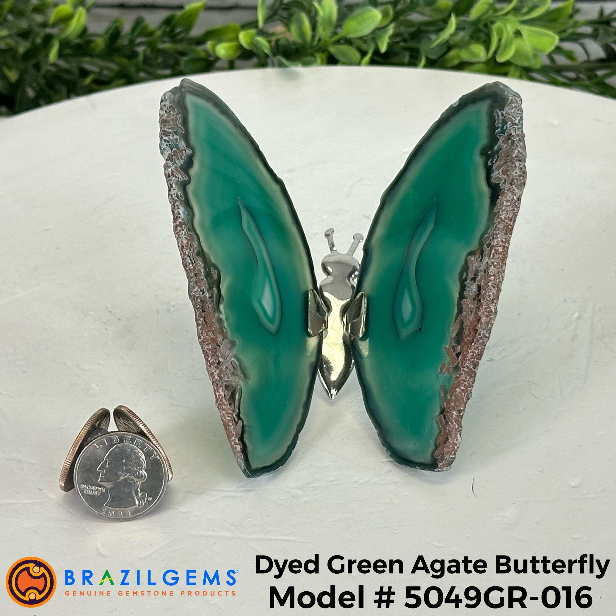 Small Green Agate "Butterfly Wings", ~ 4" Length #5049GR - Brazil GemsBrazil GemsSmall Green Agate "Butterfly Wings", ~ 4" Length #5049GRAgate Butterfly Wings5049GR-016
