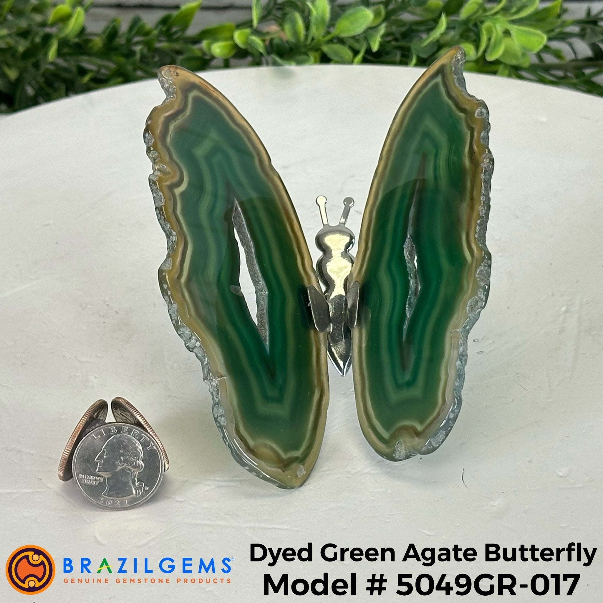 Small Green Agate "Butterfly Wings", ~ 4" Length #5049GR - Brazil GemsBrazil GemsSmall Green Agate "Butterfly Wings", ~ 4" Length #5049GRAgate Butterfly Wings5049GR-017