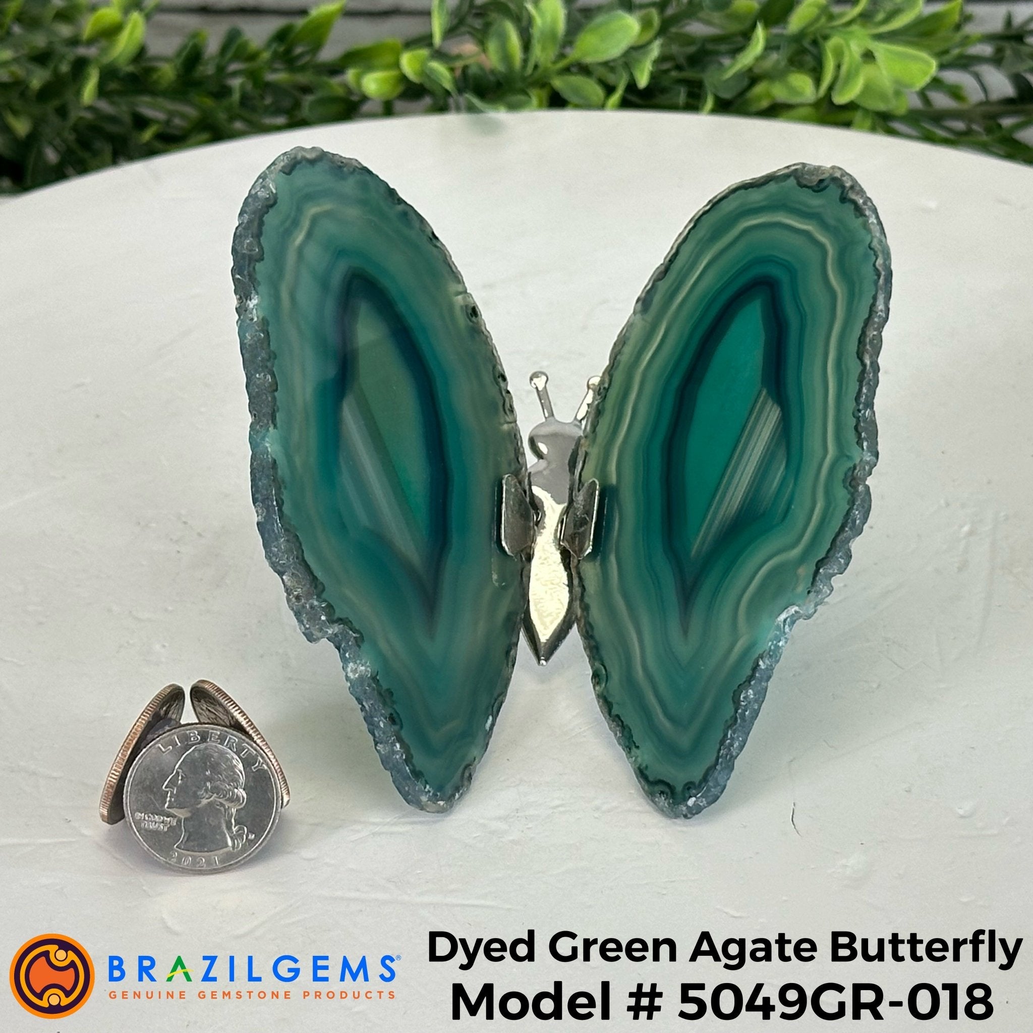 Small Green Agate "Butterfly Wings", ~ 4" Length #5049GR - Brazil GemsBrazil GemsSmall Green Agate "Butterfly Wings", ~ 4" Length #5049GRAgate Butterfly Wings5049GR-018