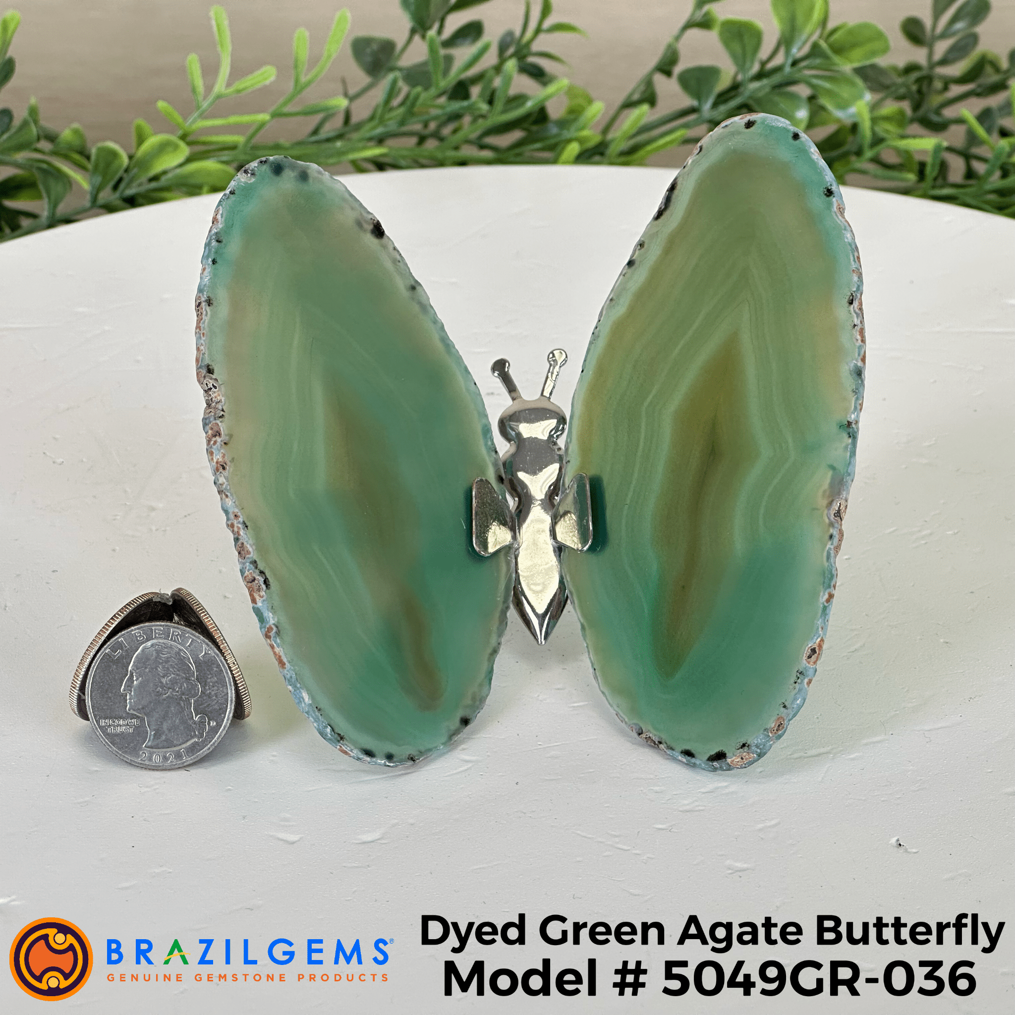 Small Green Agate "Butterfly Wings", ~ 4" Length #5049GR - Brazil GemsBrazil GemsSmall Green Agate "Butterfly Wings", ~ 4" Length #5049GRAgate Butterfly Wings5049GR - 022