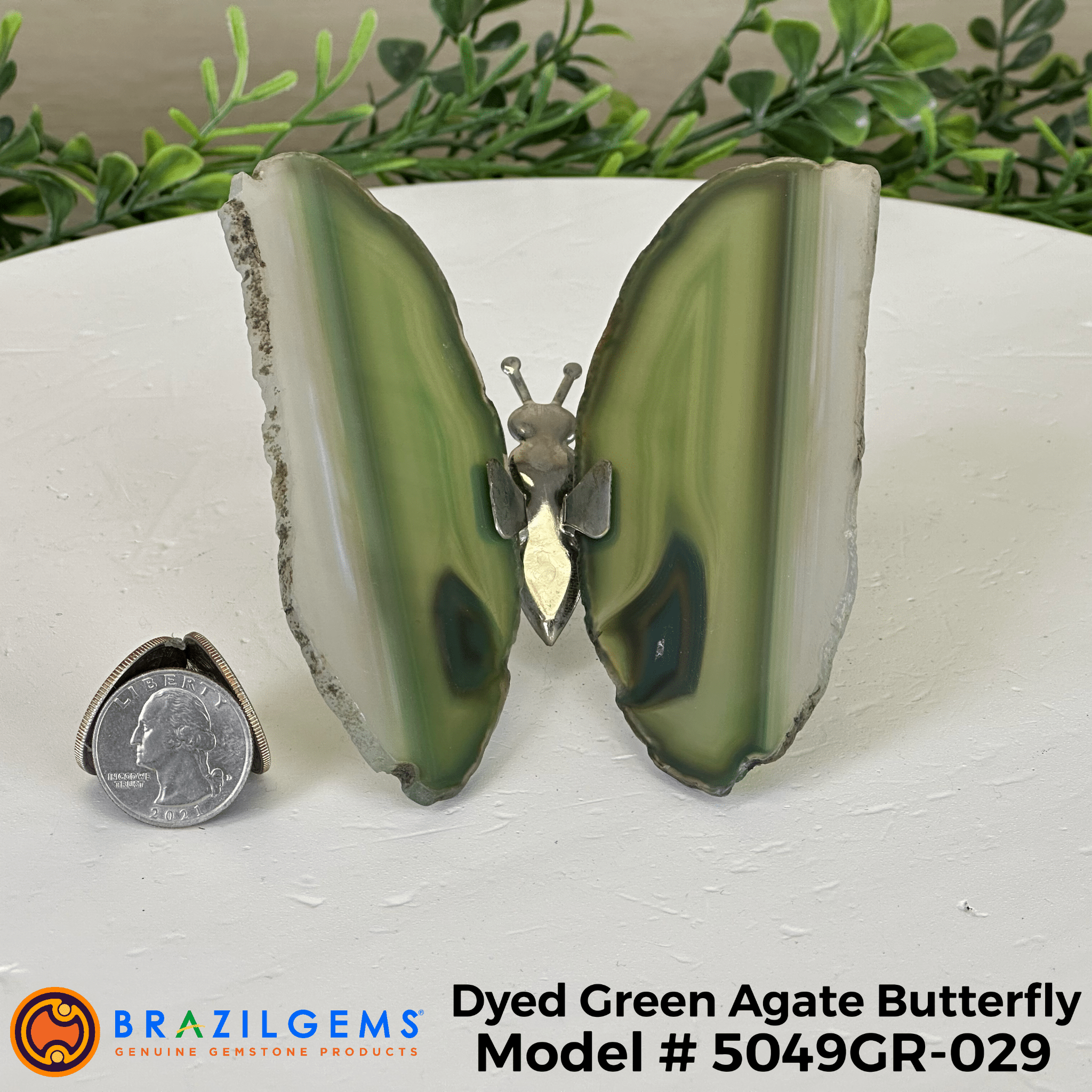 Small Green Agate "Butterfly Wings", ~ 4" Length #5049GR - Brazil GemsBrazil GemsSmall Green Agate "Butterfly Wings", ~ 4" Length #5049GRAgate Butterfly Wings5049GR - 022