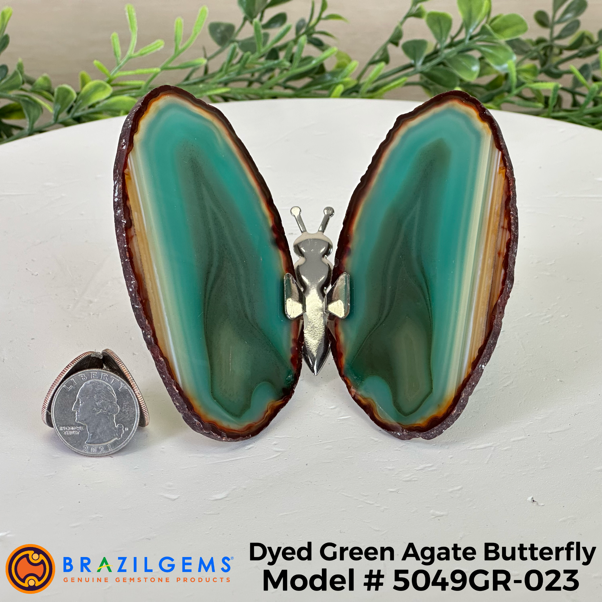 Small Green Agate "Butterfly Wings", ~ 4" Length #5049GR - Brazil GemsBrazil GemsSmall Green Agate "Butterfly Wings", ~ 4" Length #5049GRAgate Butterfly Wings5049GR - 022