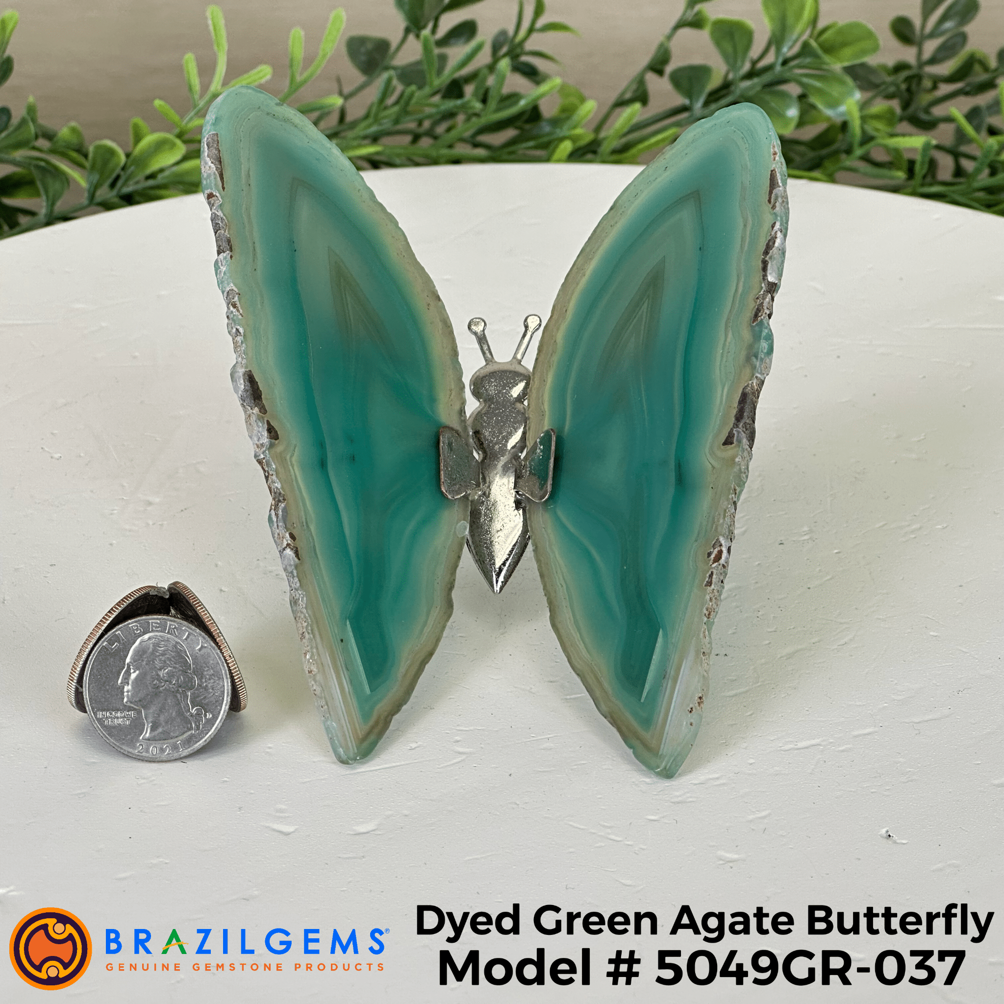 Small Green Agate "Butterfly Wings", ~ 4" Length #5049GR - Brazil GemsBrazil GemsSmall Green Agate "Butterfly Wings", ~ 4" Length #5049GRAgate Butterfly Wings5049GR - 022