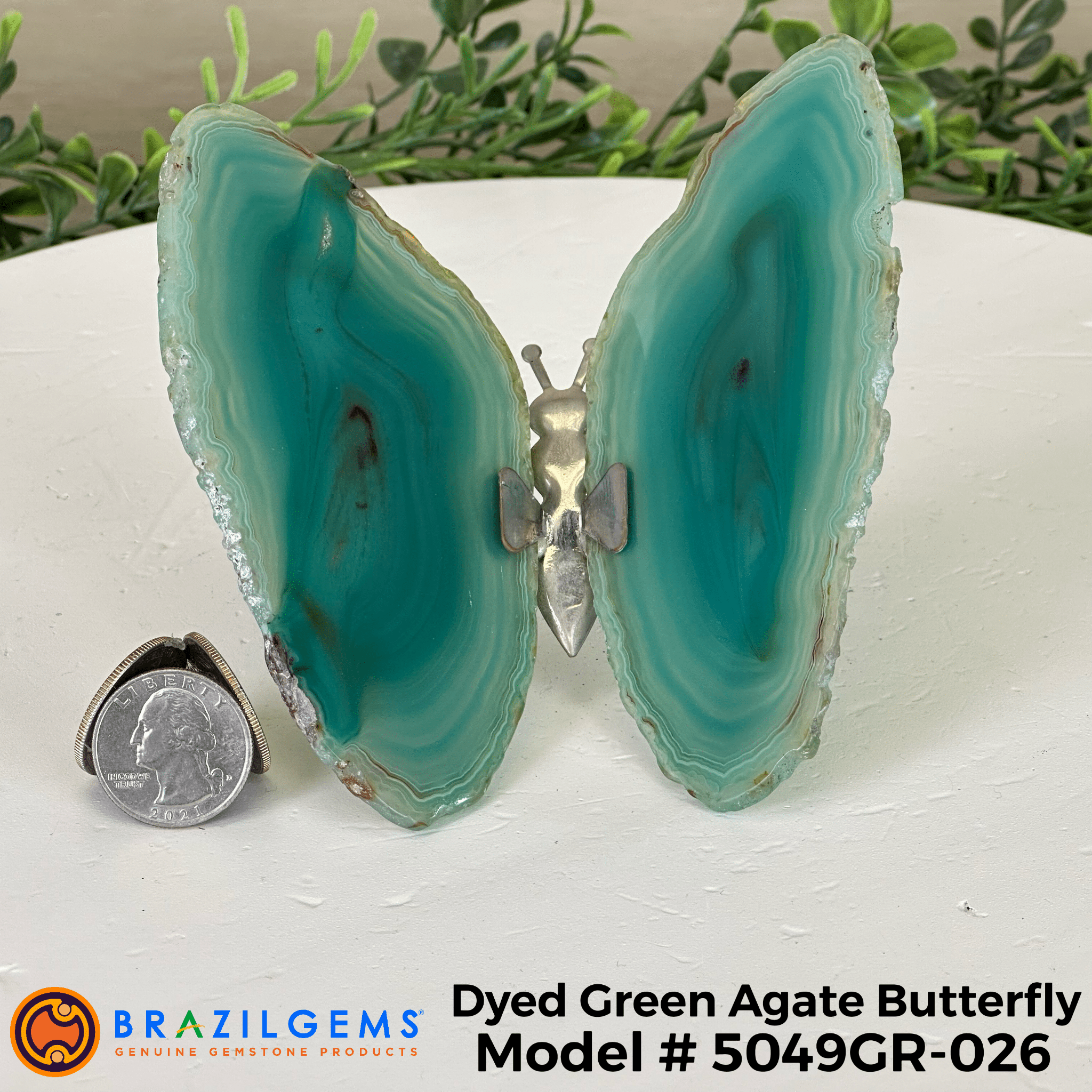 Small Green Agate "Butterfly Wings", ~ 4" Length #5049GR - Brazil GemsBrazil GemsSmall Green Agate "Butterfly Wings", ~ 4" Length #5049GRAgate Butterfly Wings5049GR - 022