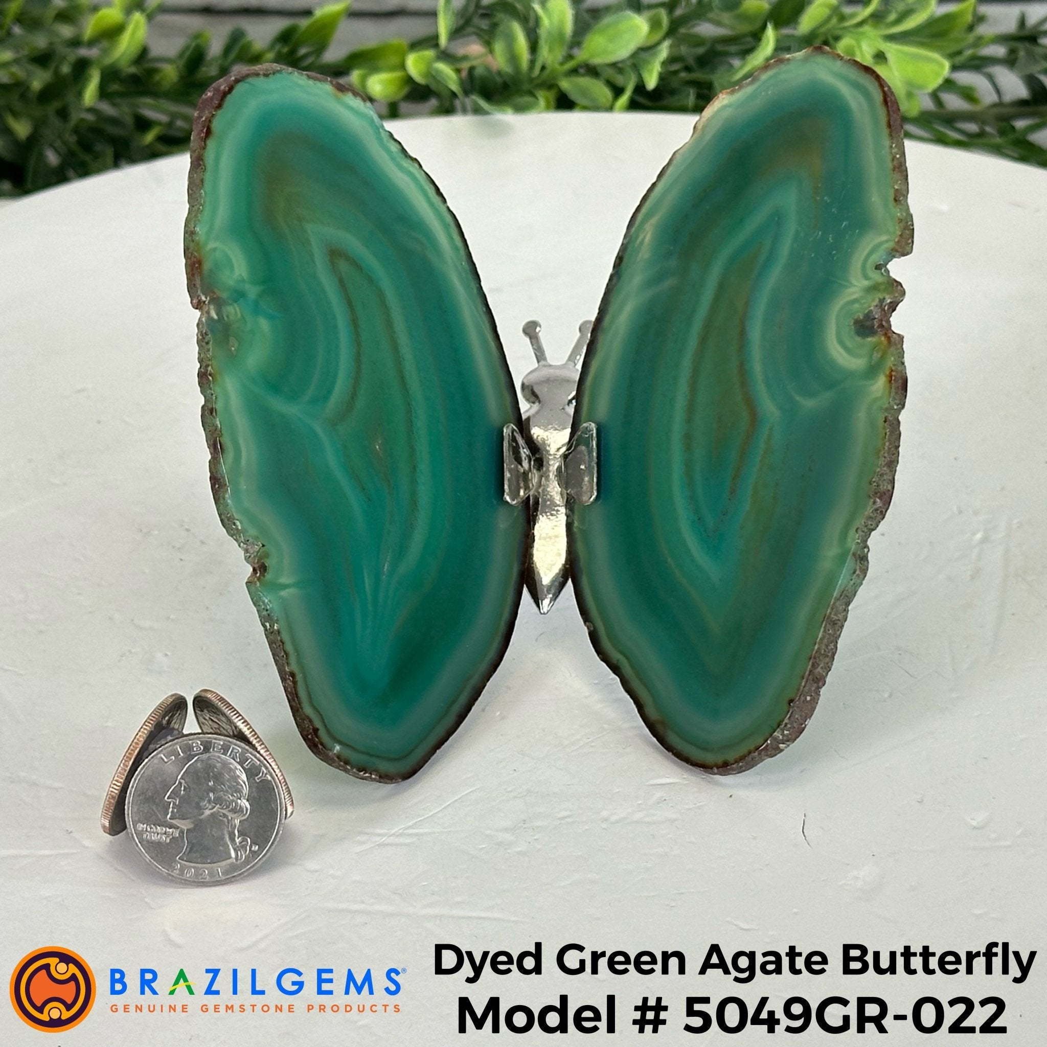 Small Green Agate "Butterfly Wings", ~ 4" Length #5049GR - Brazil GemsBrazil GemsSmall Green Agate "Butterfly Wings", ~ 4" Length #5049GRAgate Butterfly Wings5049GR-022
