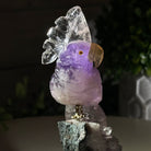 Small Hand - Carved Amethyst Cockatoo on an Amethyst Base, #3002 - AMCAM - 004 - Brazil GemsBrazil GemsSmall Hand - Carved Amethyst Cockatoo on an Amethyst Base, #3002 - AMCAM - 004Crystal Birds3002 - AMCAM - 004