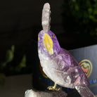 Small Hand - Carved Amethyst Cockatoo on an Amethyst Base, #3002 - AMCAM - 004 - Brazil GemsBrazil GemsSmall Hand - Carved Amethyst Cockatoo on an Amethyst Base, #3002 - AMCAM - 004Crystal Birds3002 - AMCAM - 004