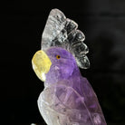 Small Hand - Carved Amethyst Cockatoo on an Amethyst Base, #3002 - AMCAM - 004 - Brazil GemsBrazil GemsSmall Hand - Carved Amethyst Cockatoo on an Amethyst Base, #3002 - AMCAM - 004Crystal Birds3002 - AMCAM - 004